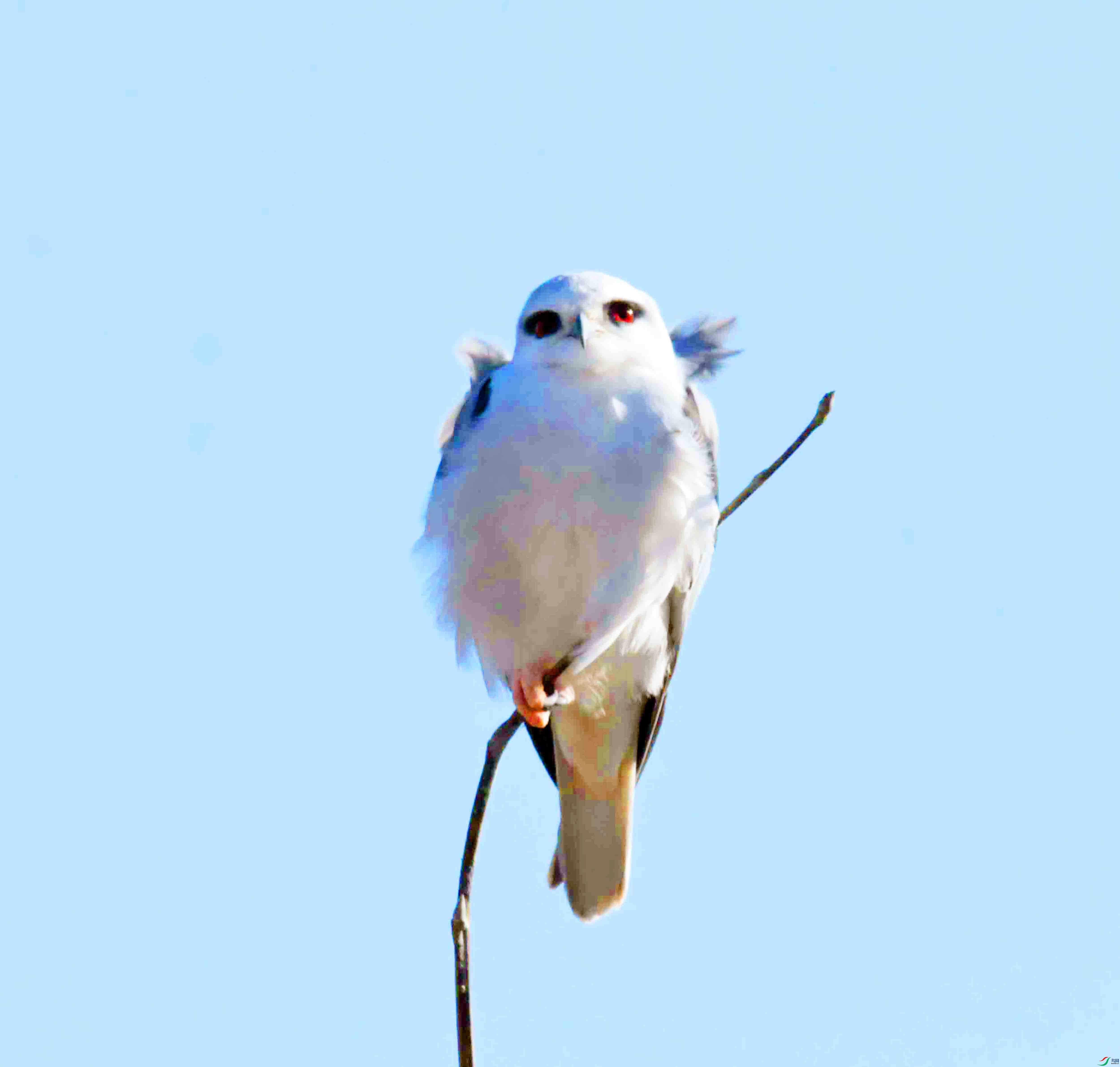 DSC_7539.JPG