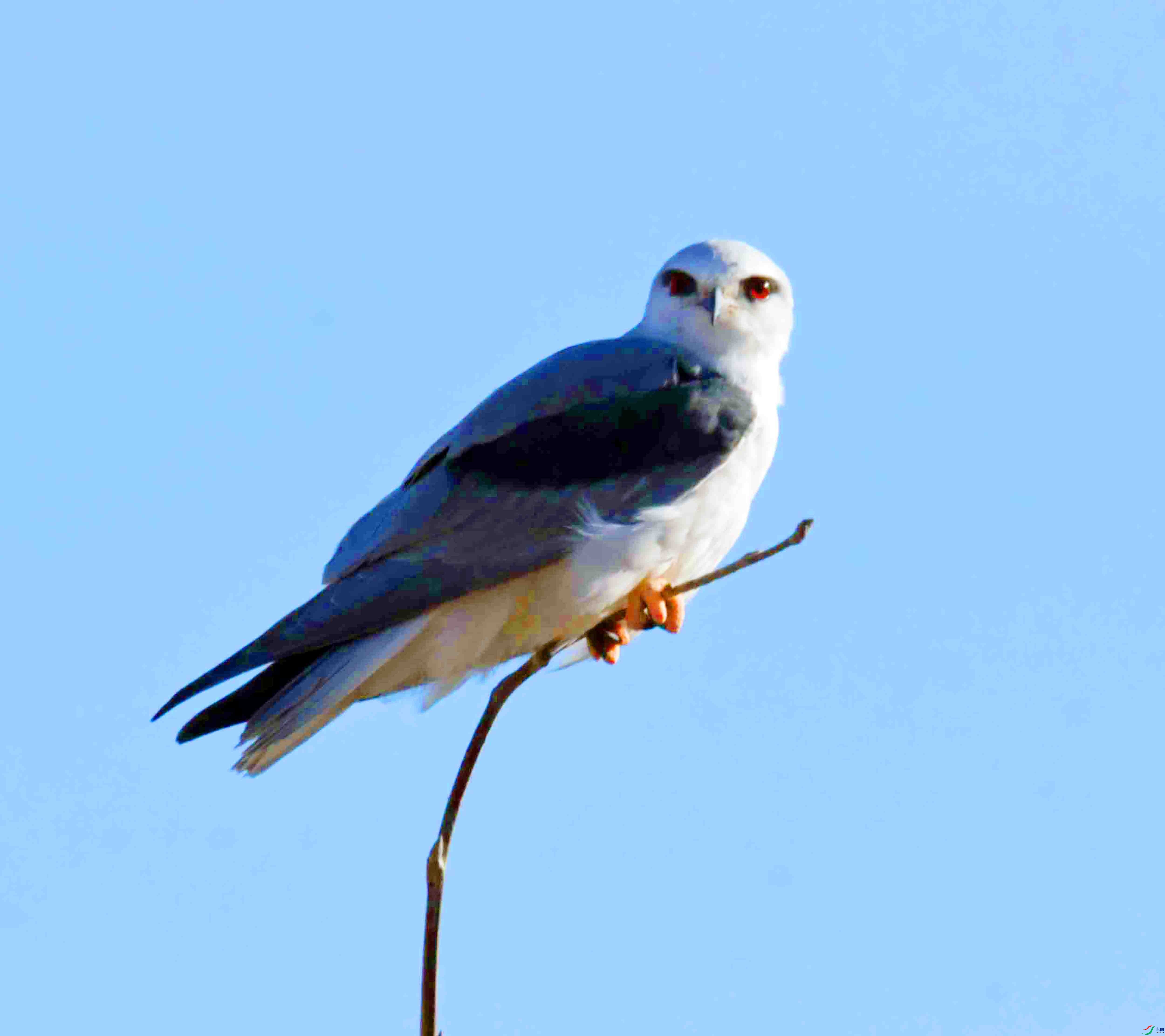 DSC_7562.JPG