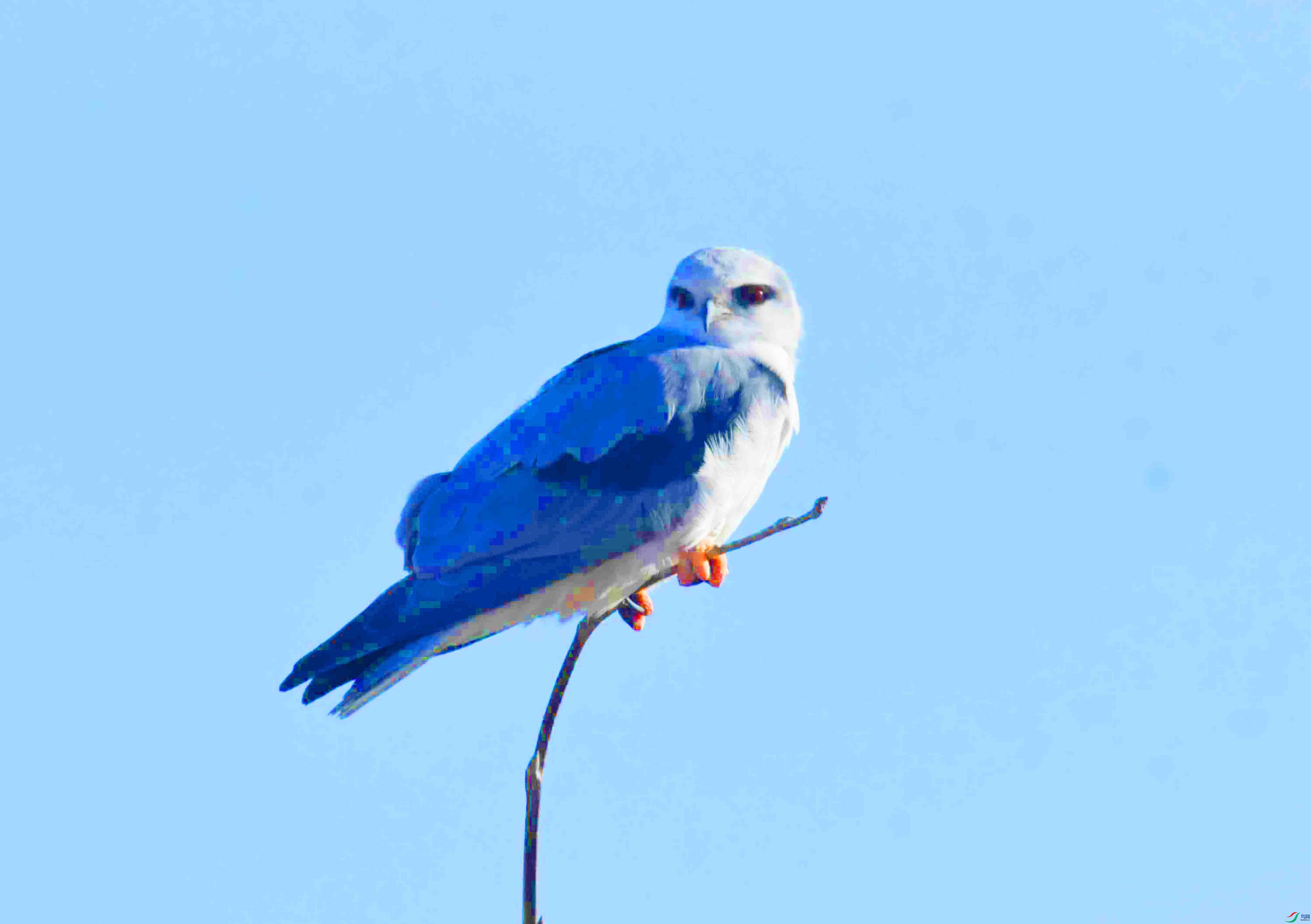 DSC_7569.JPG