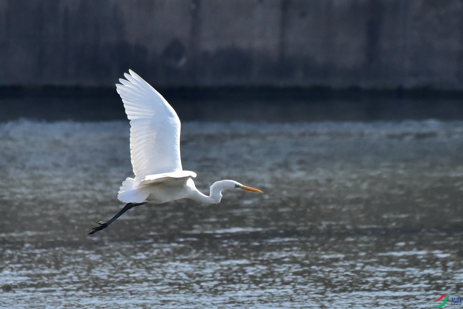 DSC_6053.JPG