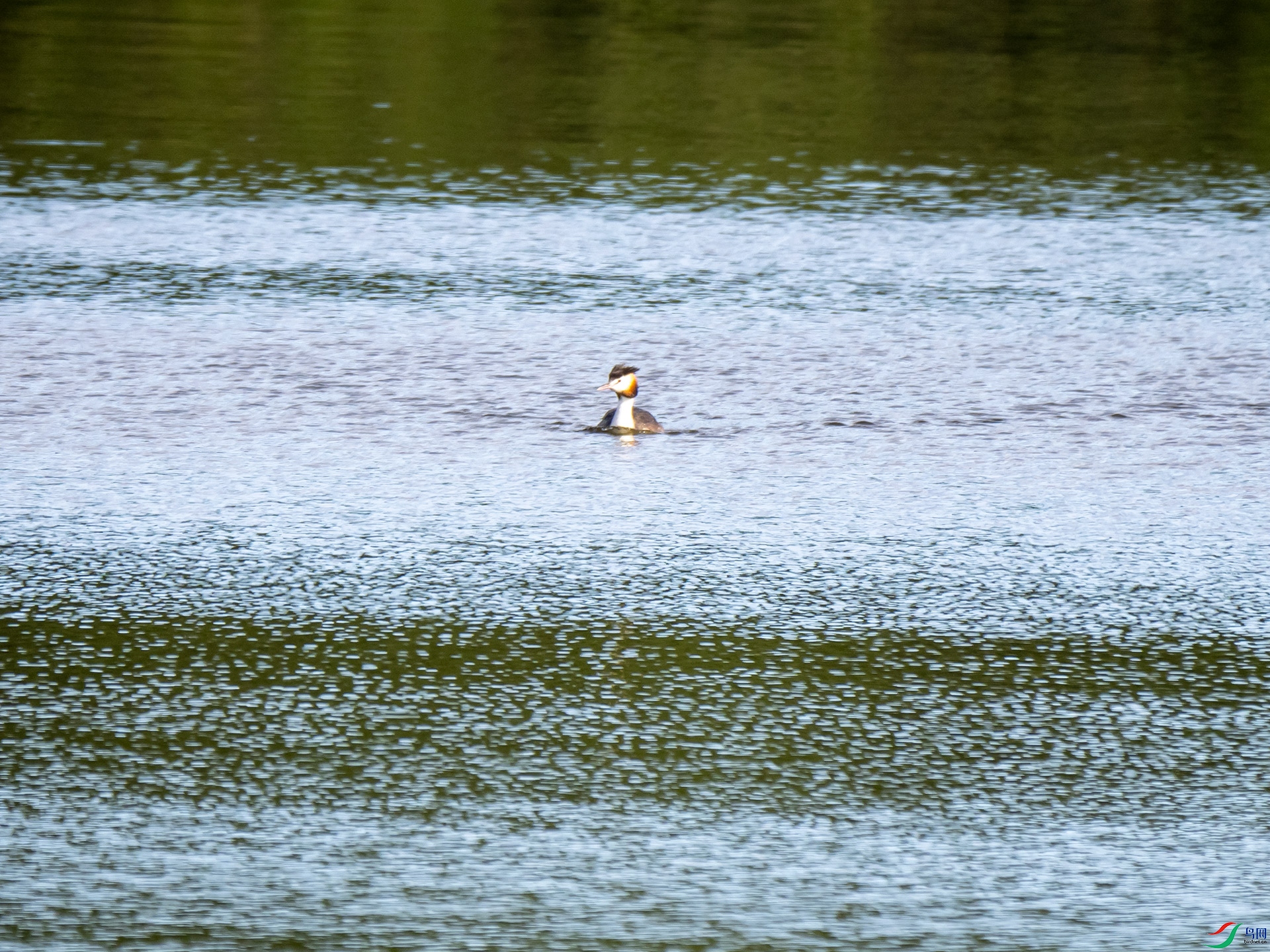 PA021620.jpg