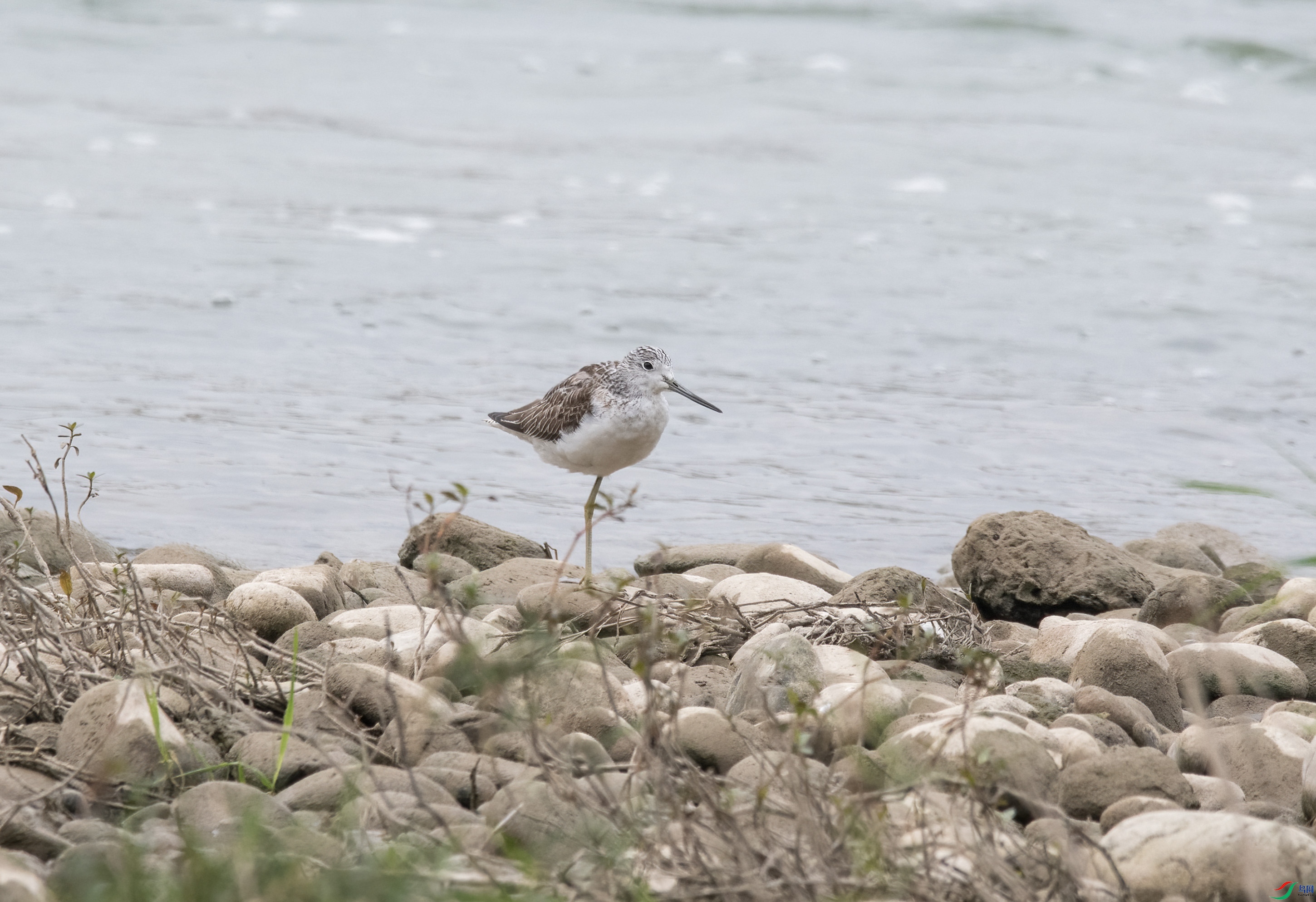 DSC_0716.jpg
