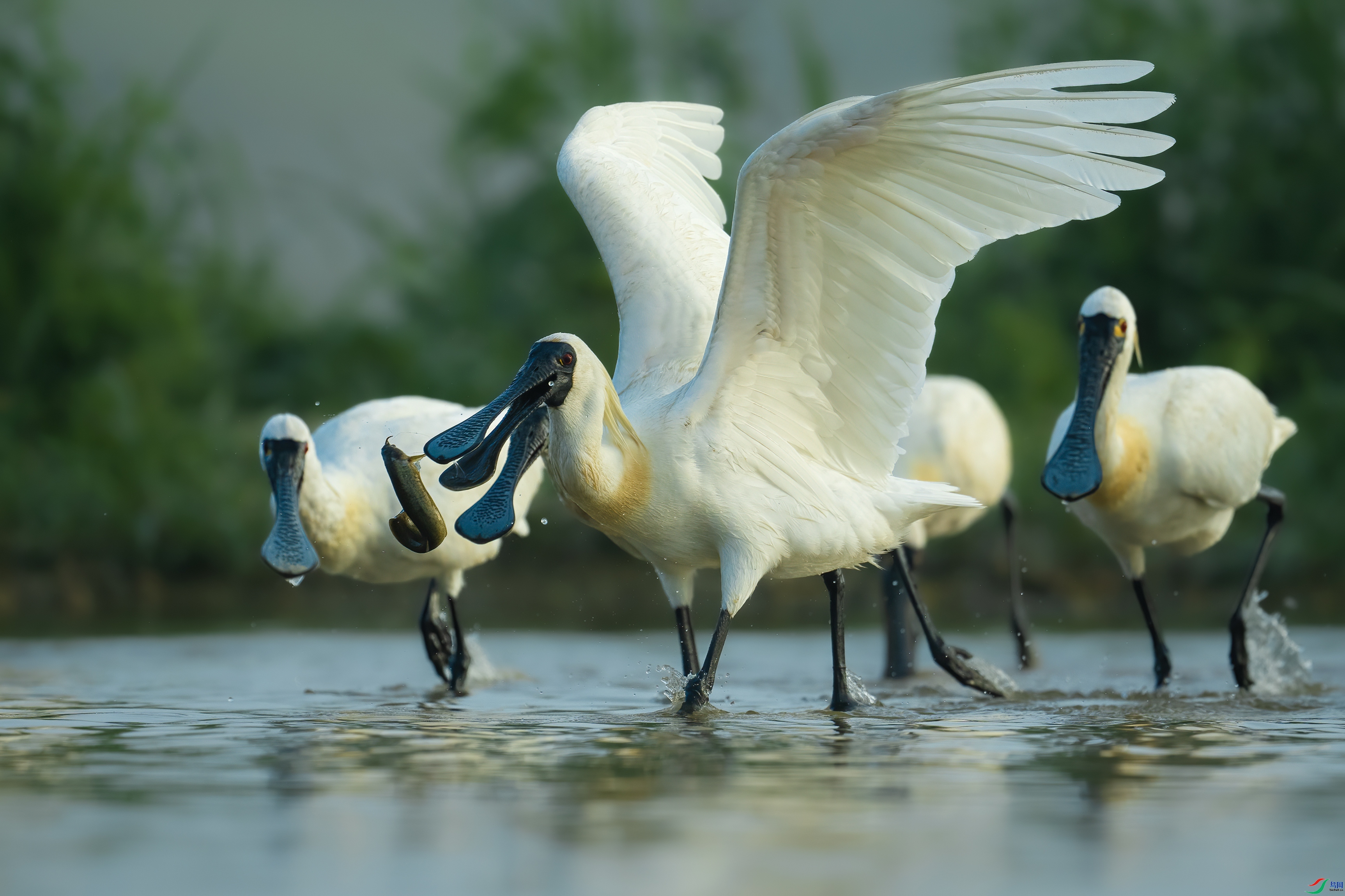 10.21����·��ʦ��Ʒ   ����  ��ף���ٻ����������.jpg