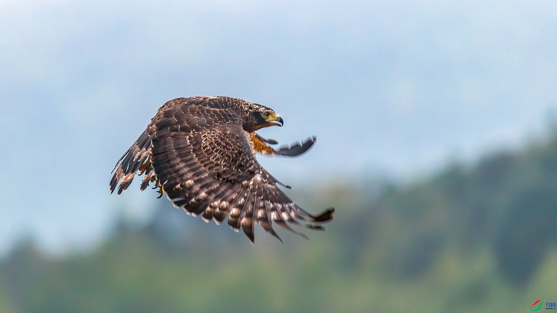 10.22�ƽ�Ҷ��ʦ��Ʒ   �ߵ񡪡��ɹ� ��ף���ٻ����Ѿ�����.jpg