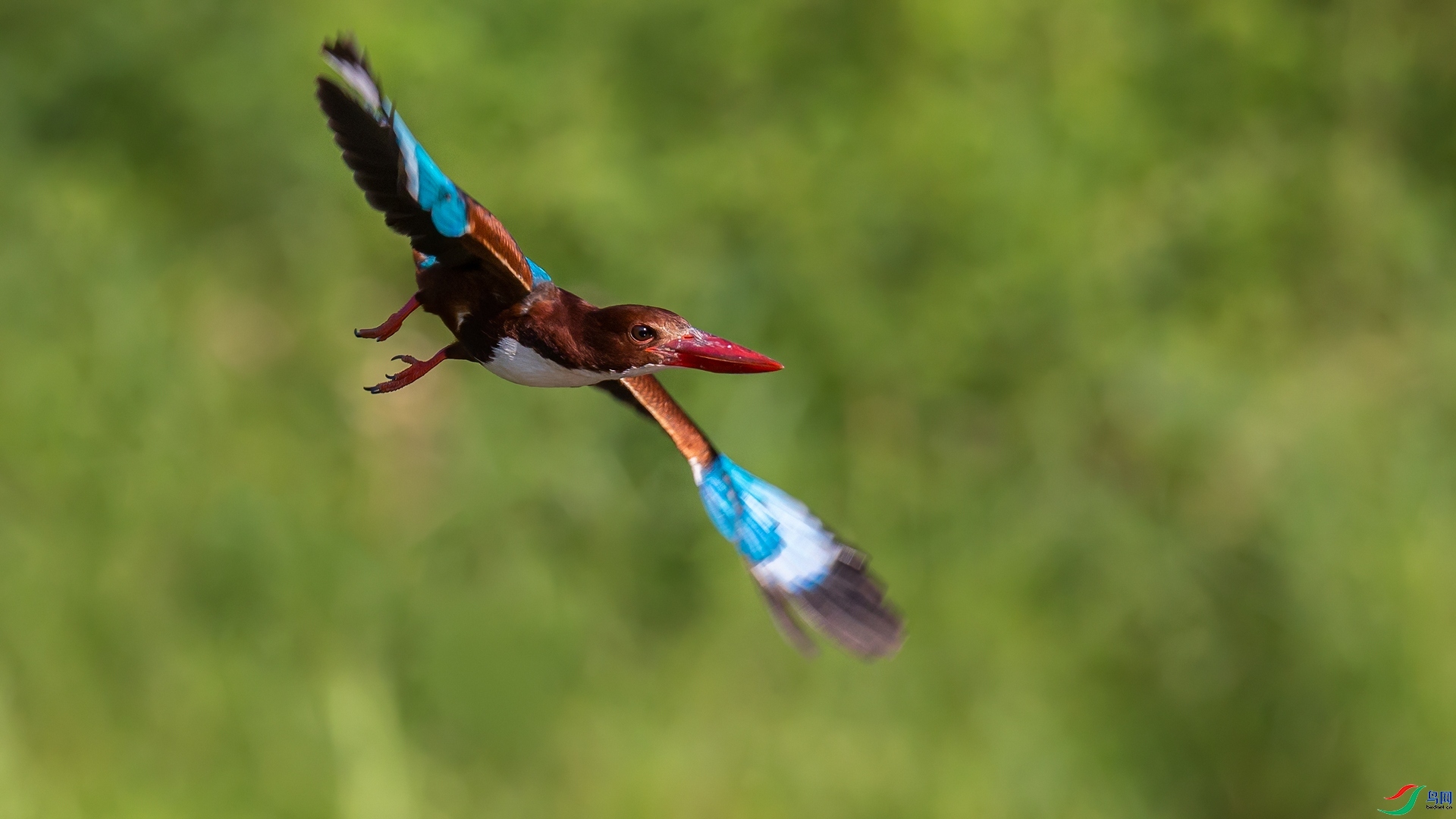 10.28�ƽ�Ҷ��ʦ��Ʒ   ������� ��ף���ٻ����Ѿ�����.jpg