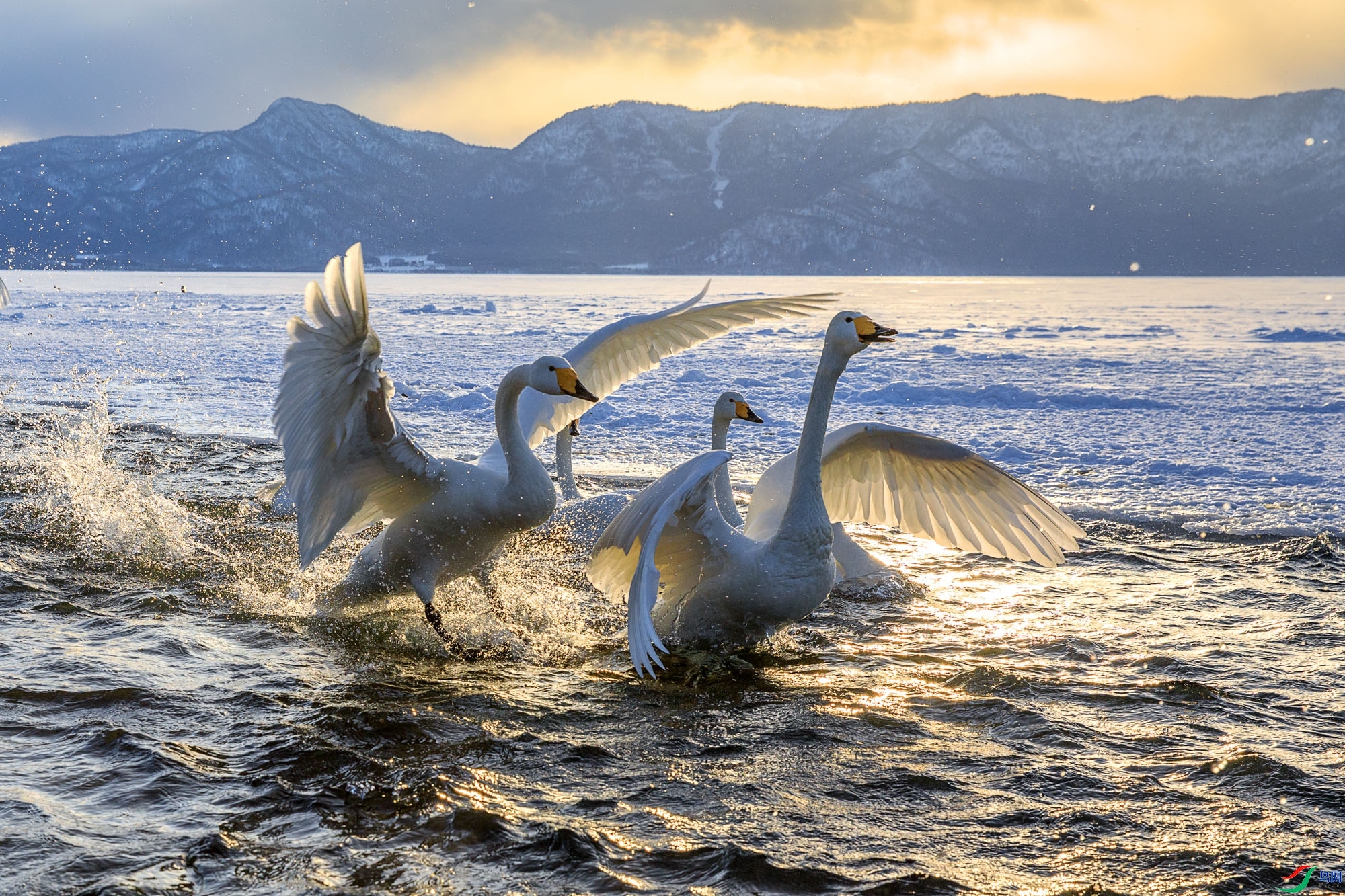 11.6ѧ����ʦ��Ʒ   ��ԡů����ף���ٻ��Ա������.jpg