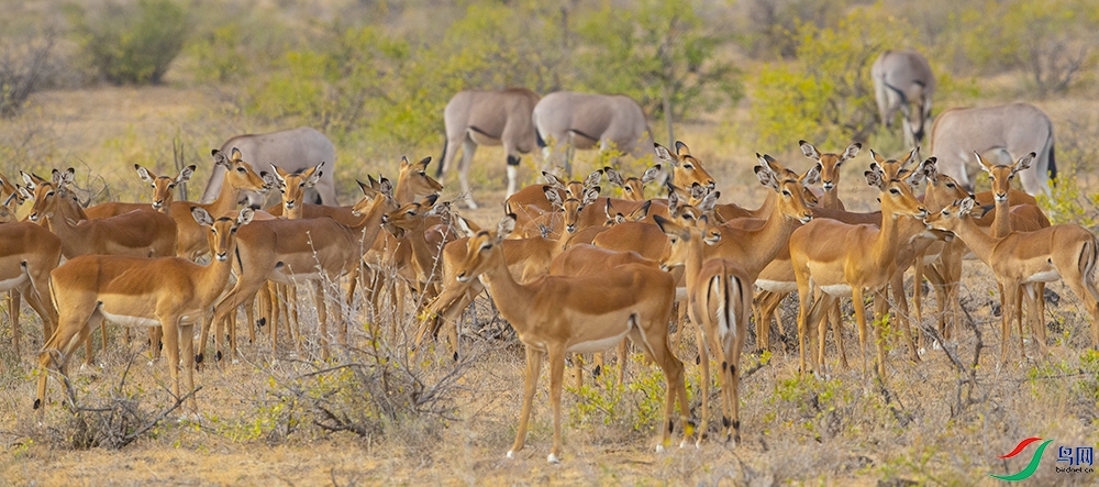 ���� (7).jpg