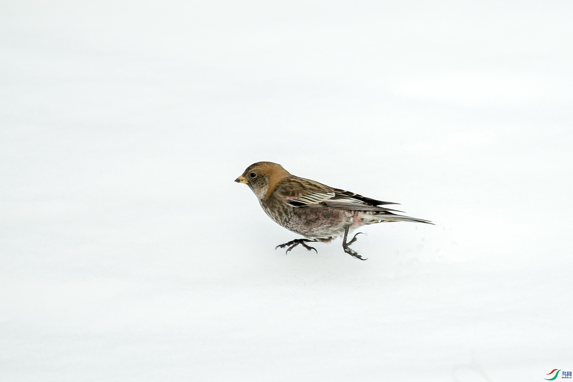 _DSC9029.jpg