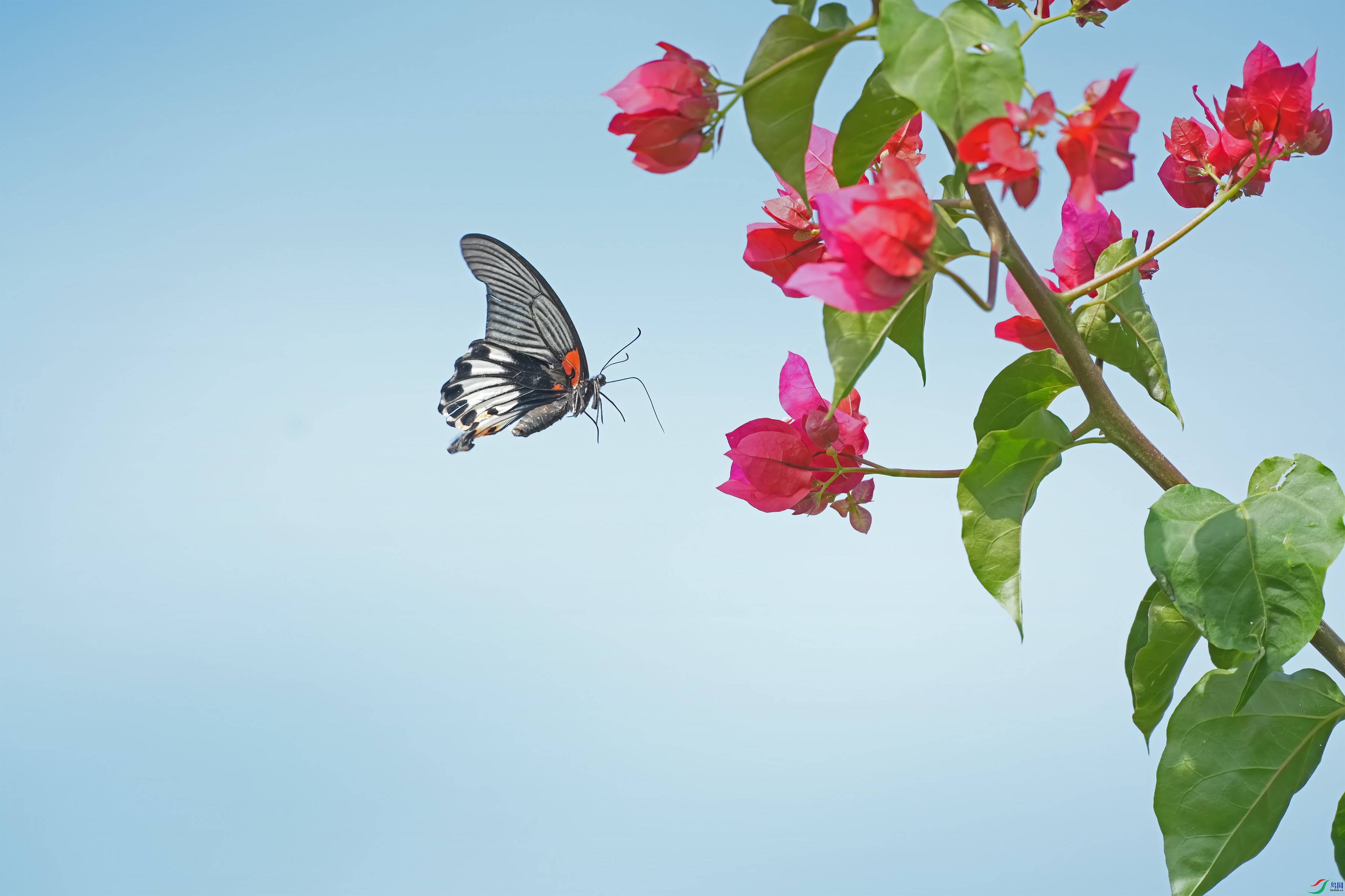 DSC02173 ����.jpg