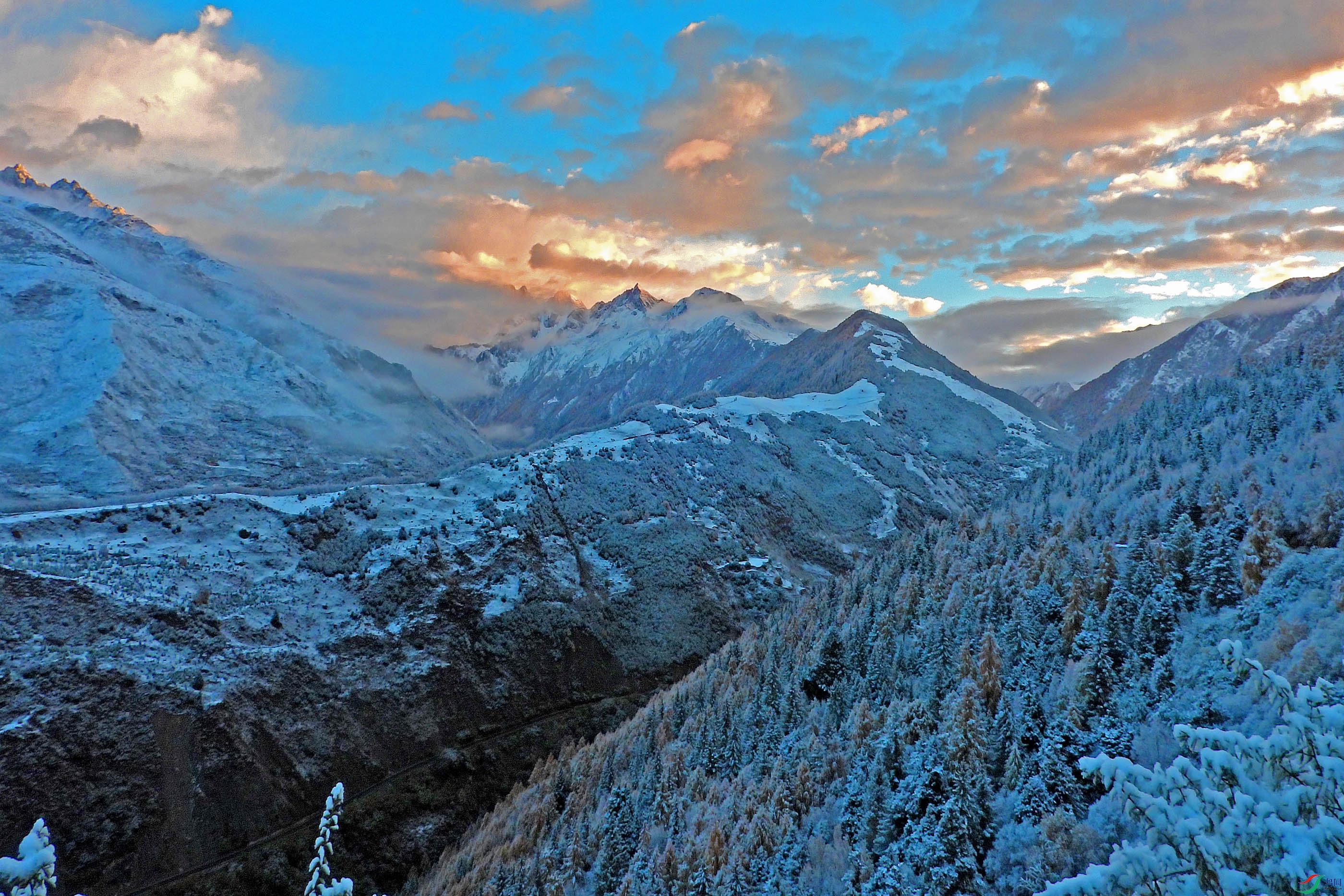 DSCN4584.jpg