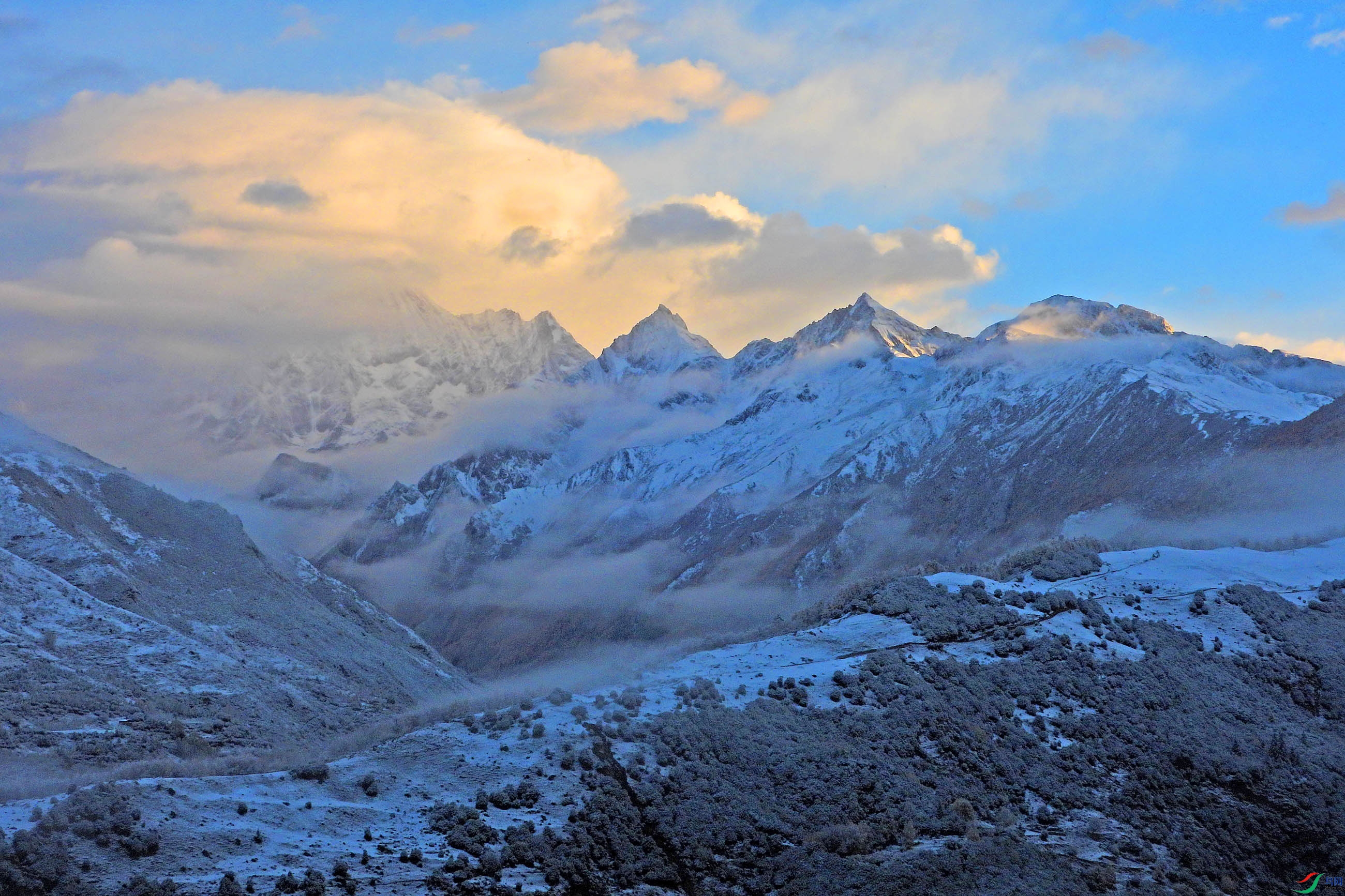 DSCN4595.jpg