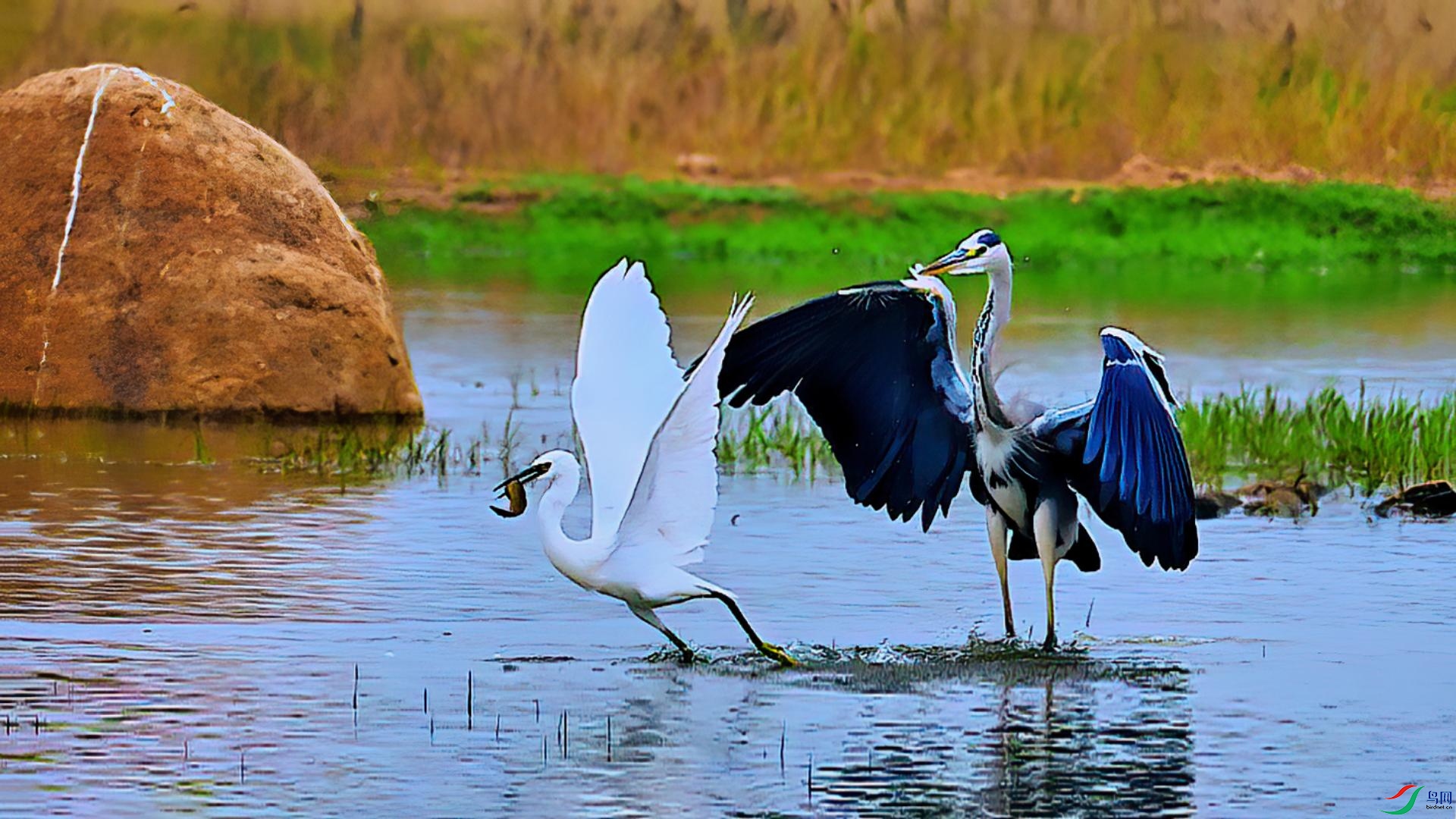 �������