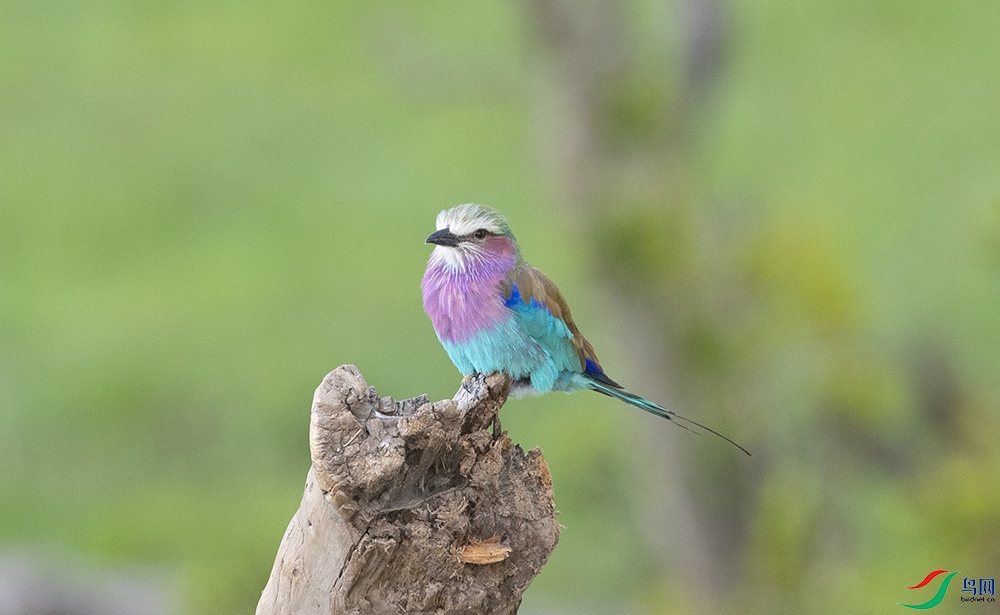 ���ط�ɮ (2).jpg