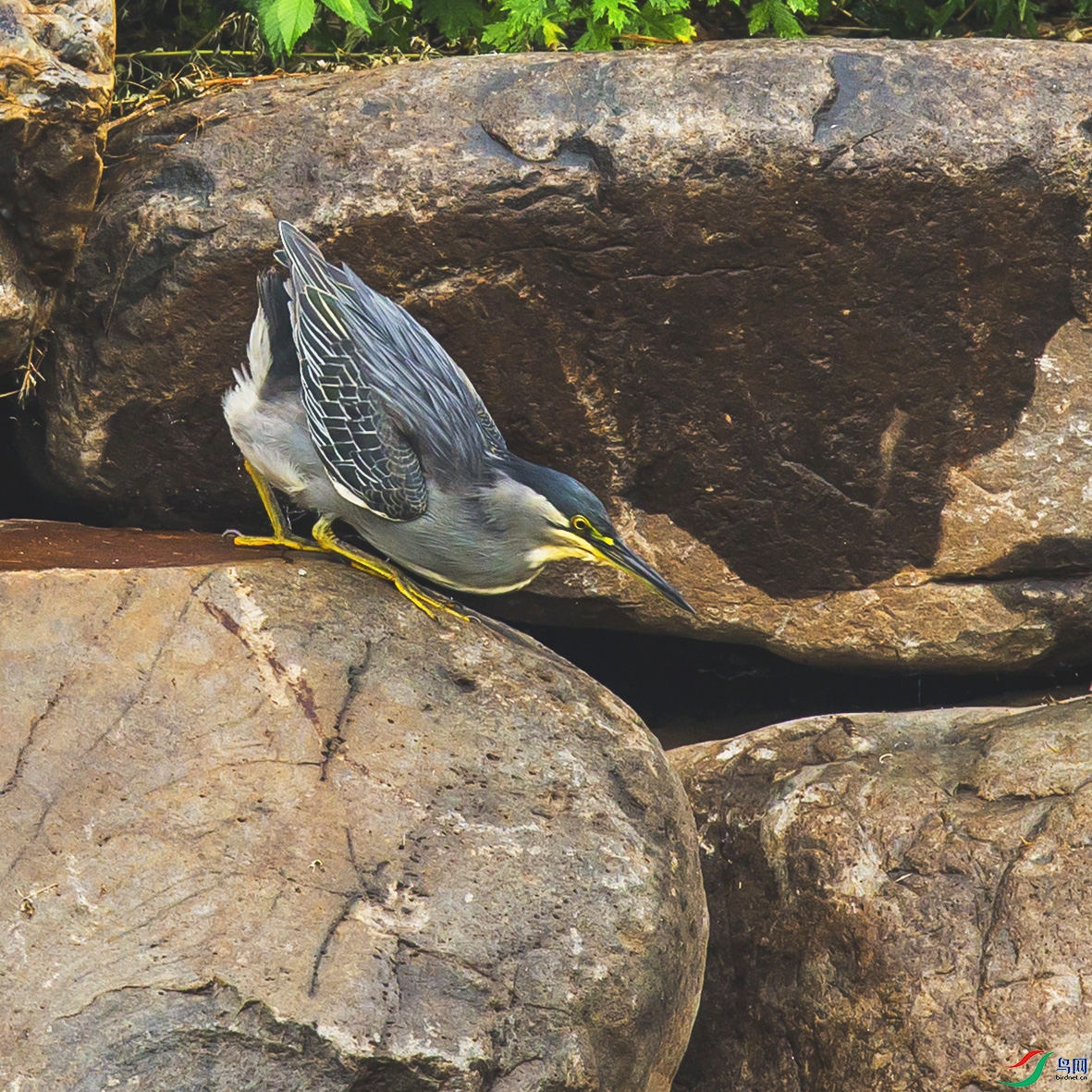 _MG_0932 ����.jpg