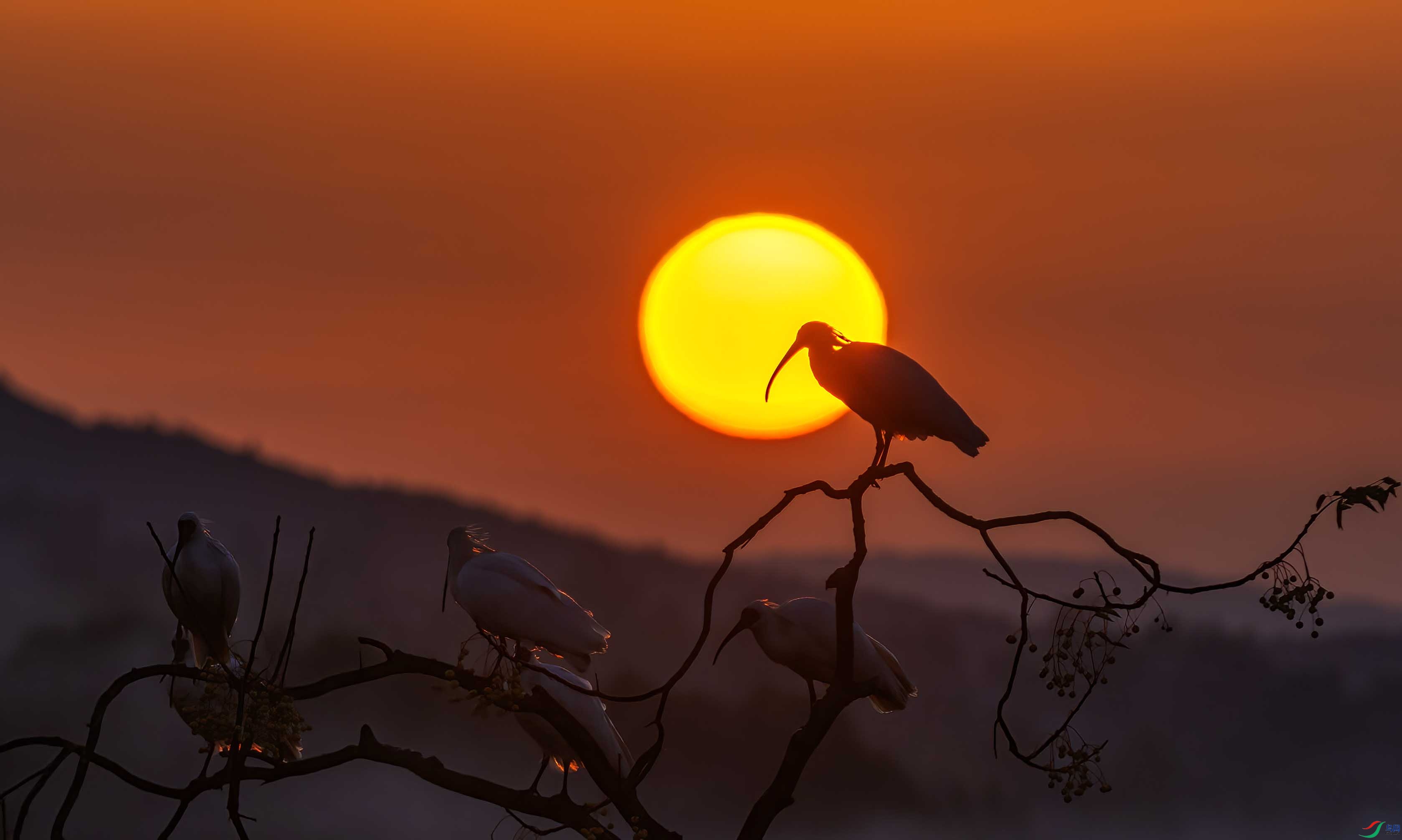 DSC_3632 ����.jpg