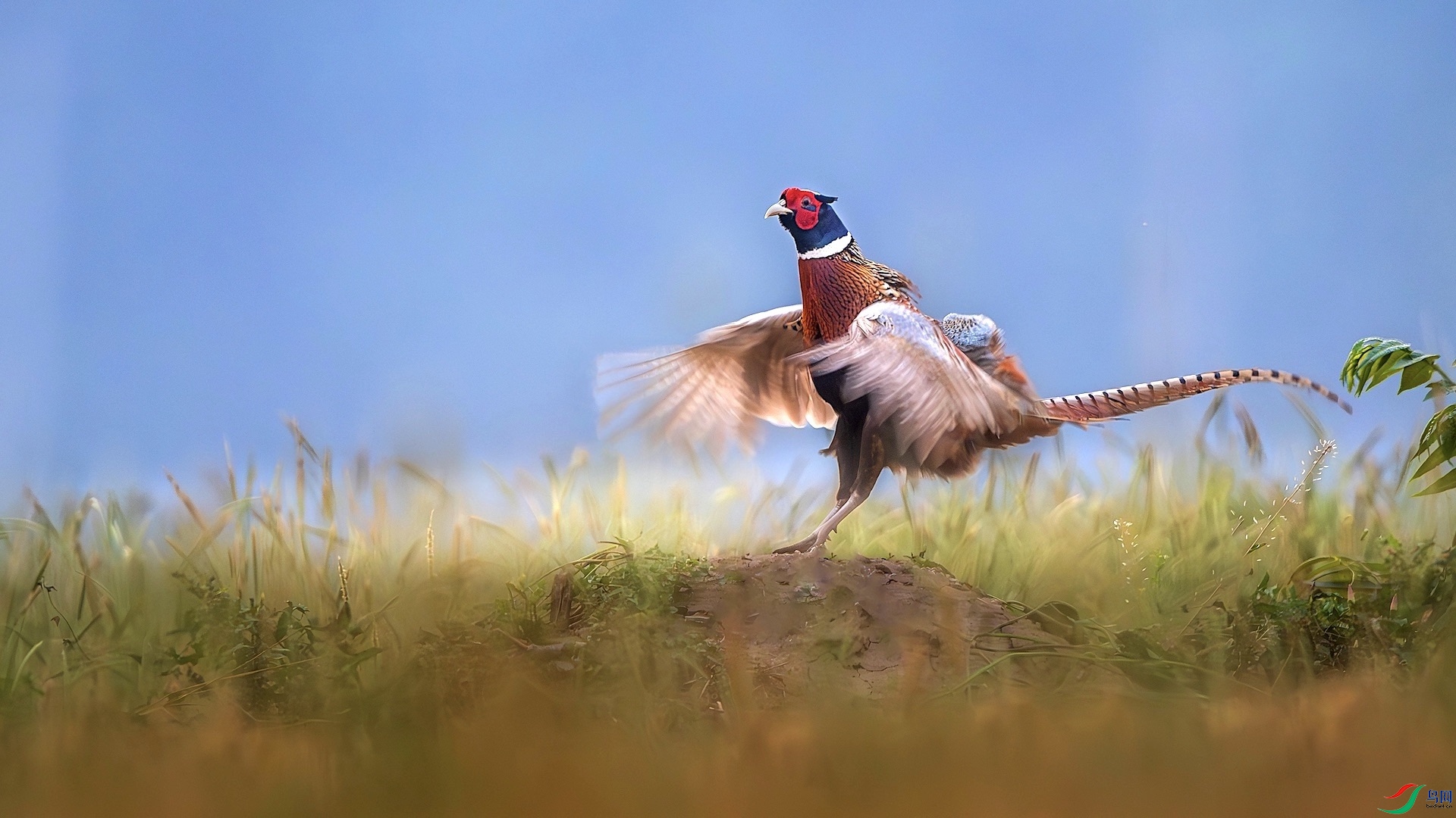 1_DSC0782-����ǿ-NR ���� 2.jpeg