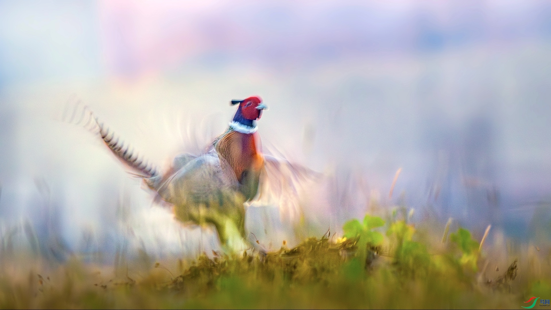 1_DSC1269-����ǿ-NR ���� 2.jpeg