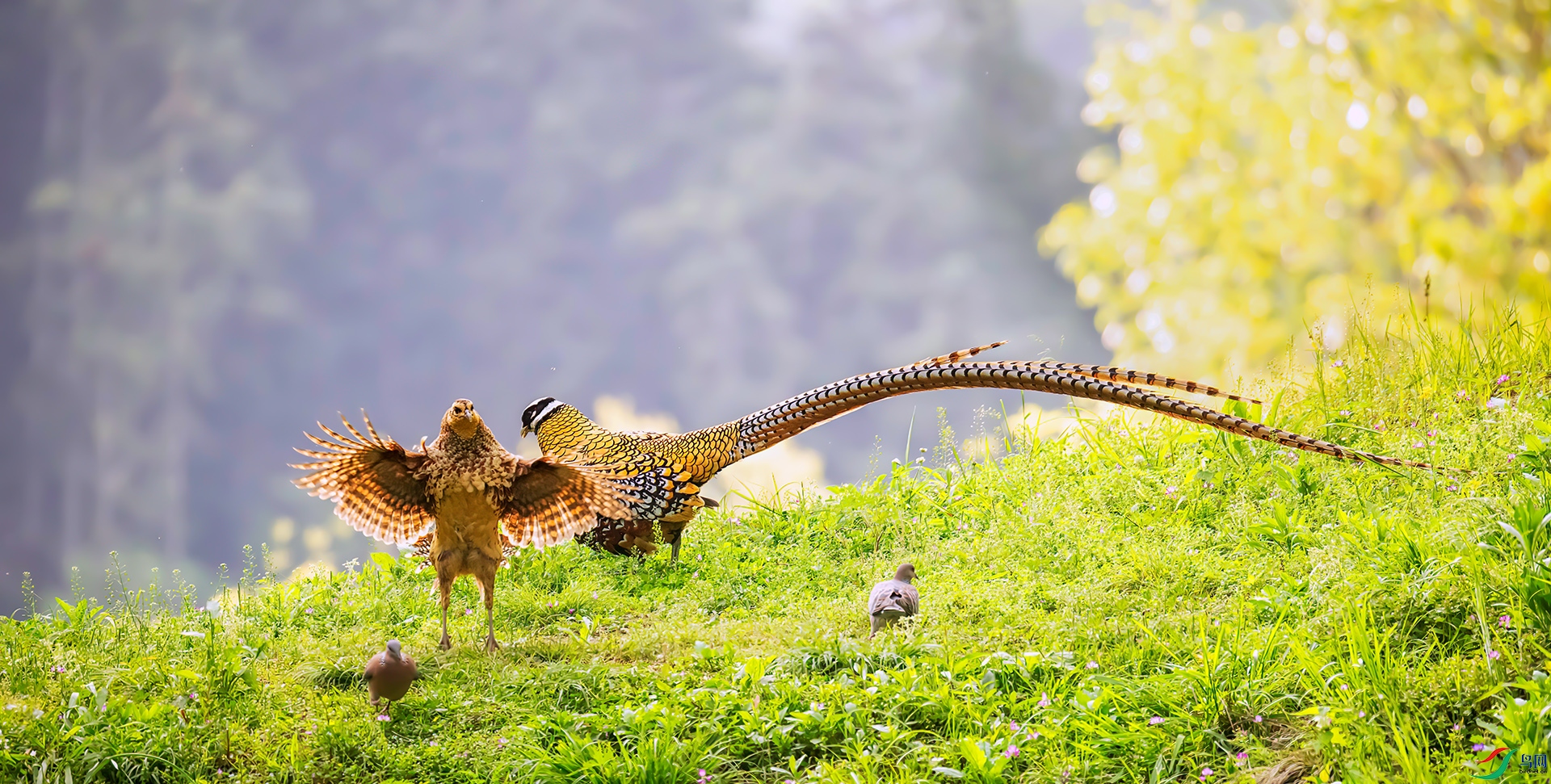 407A0459 ����-Sh----1 .jpg