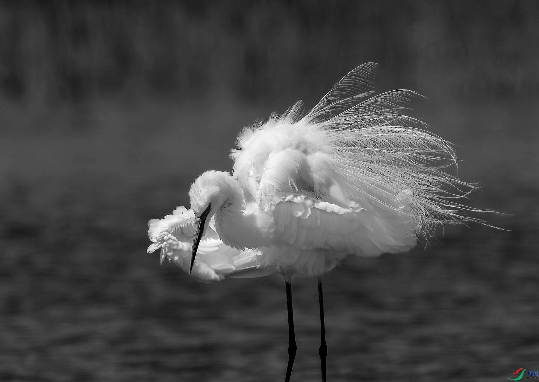 DSC04076 ����_����_����.jpg