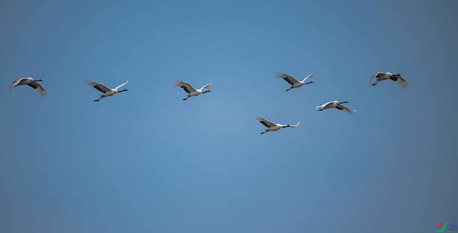 DSC_4716.jpg
