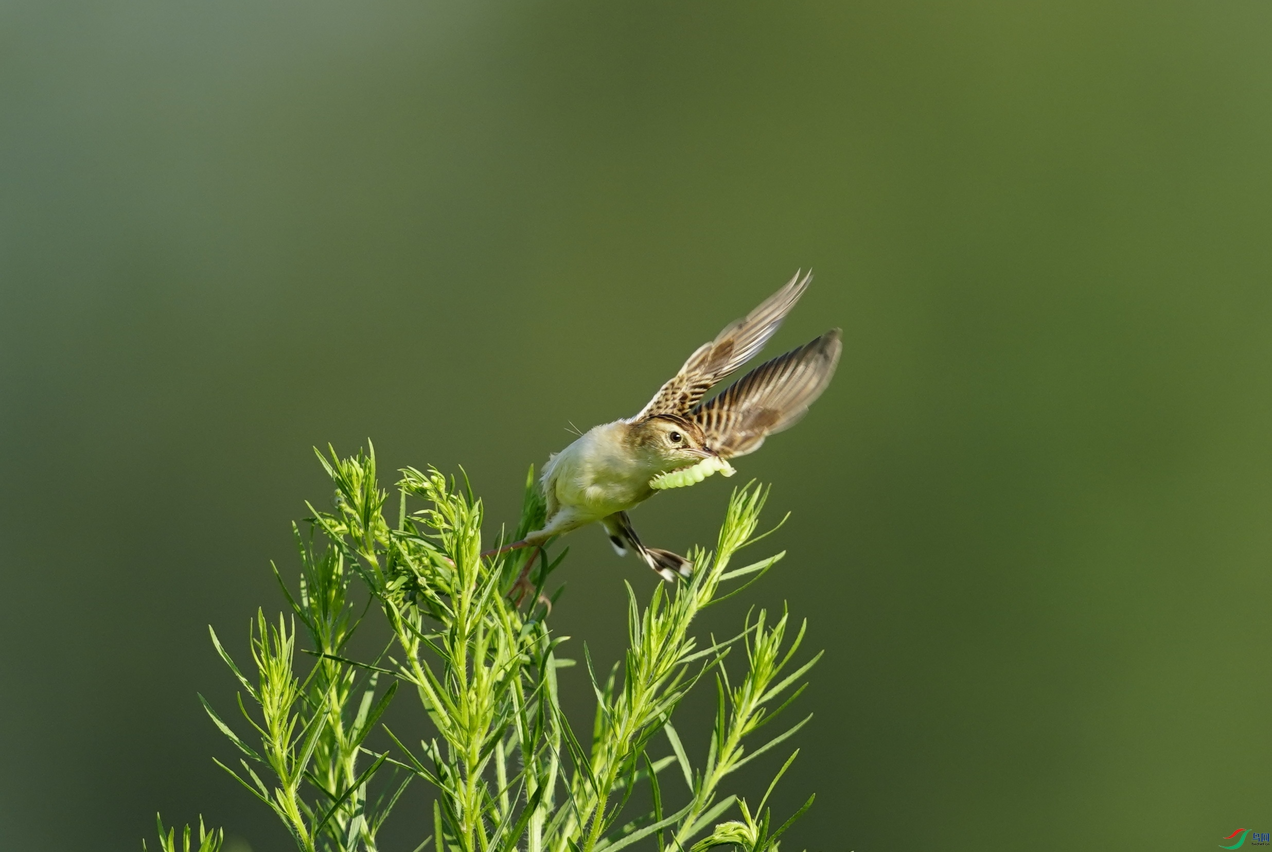 _DSC4457_��ͼ��.jpg