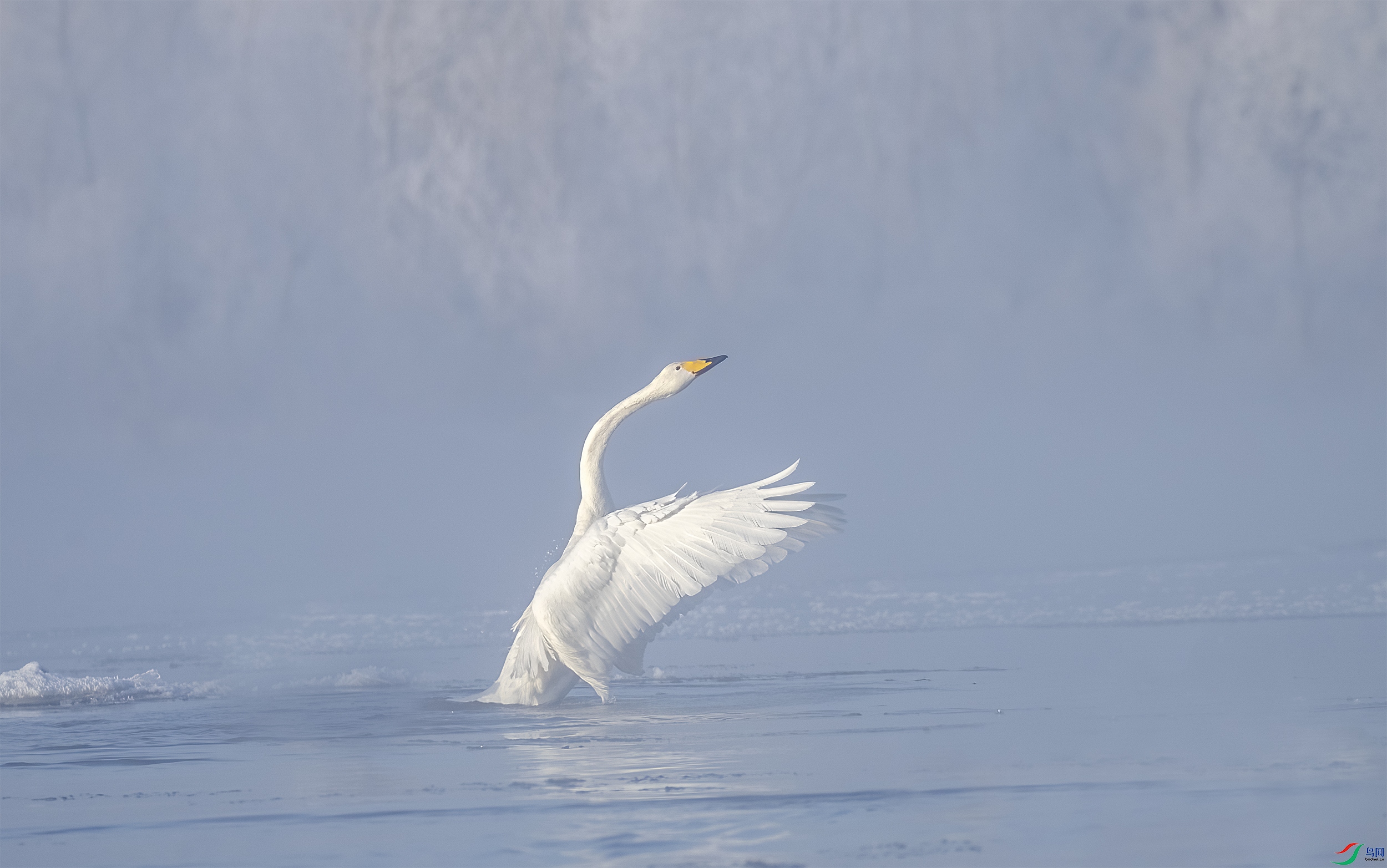 AC3I6834 ����.jpg