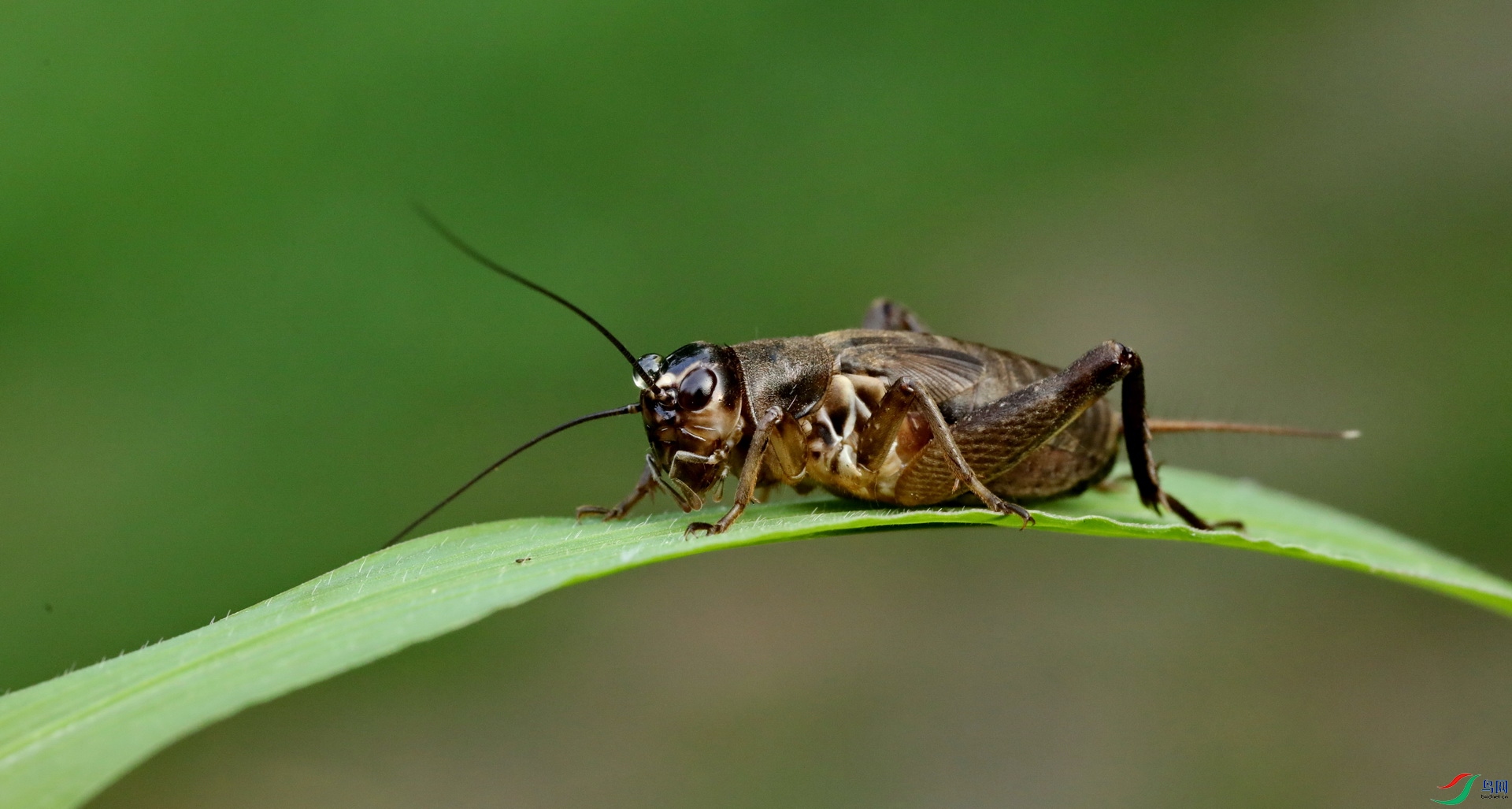 490A9188.JPG