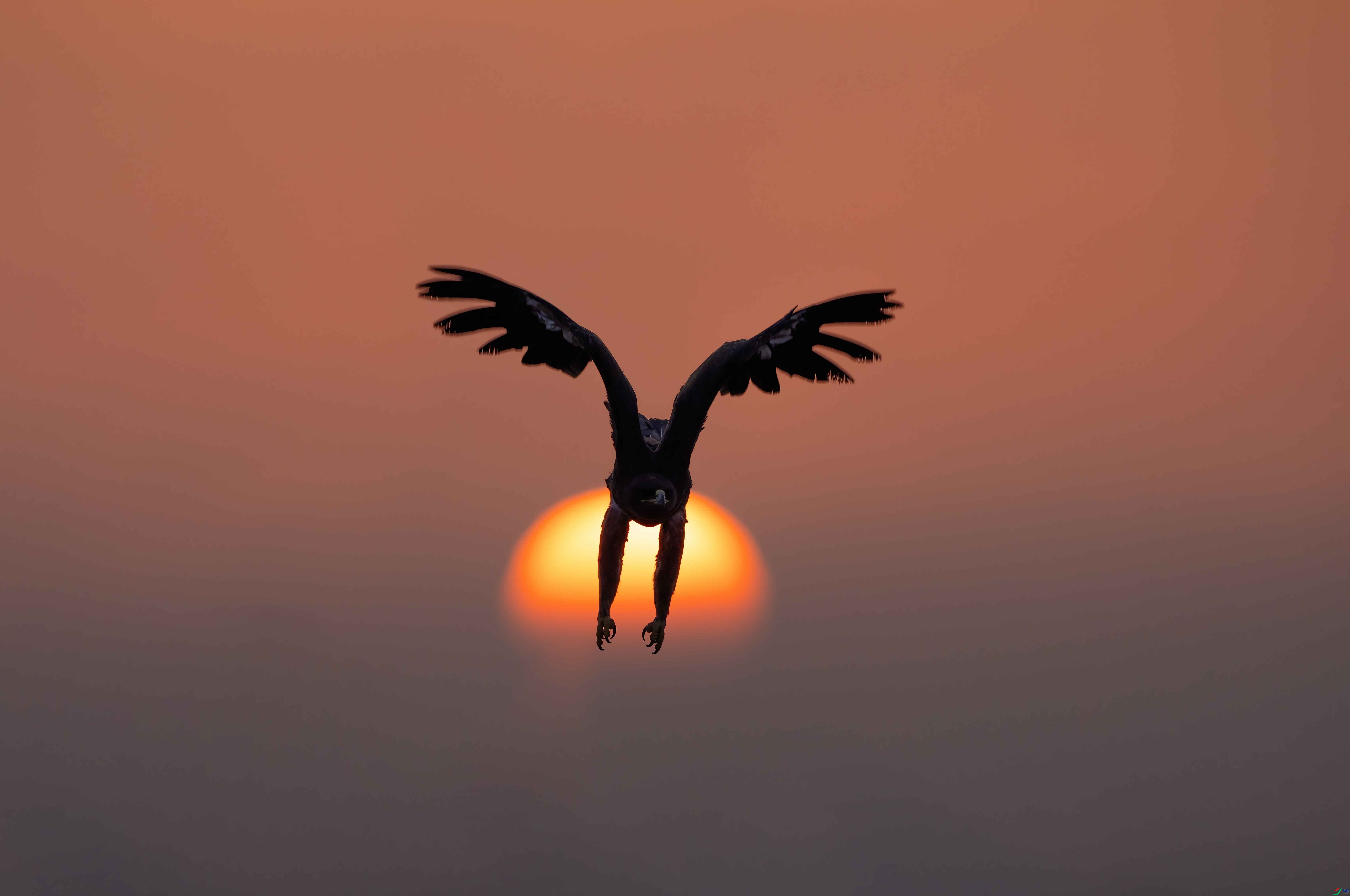 DSC00146 ���� 2.jpg