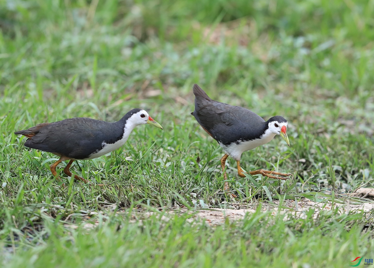 AI0I5174 - ����.JPG