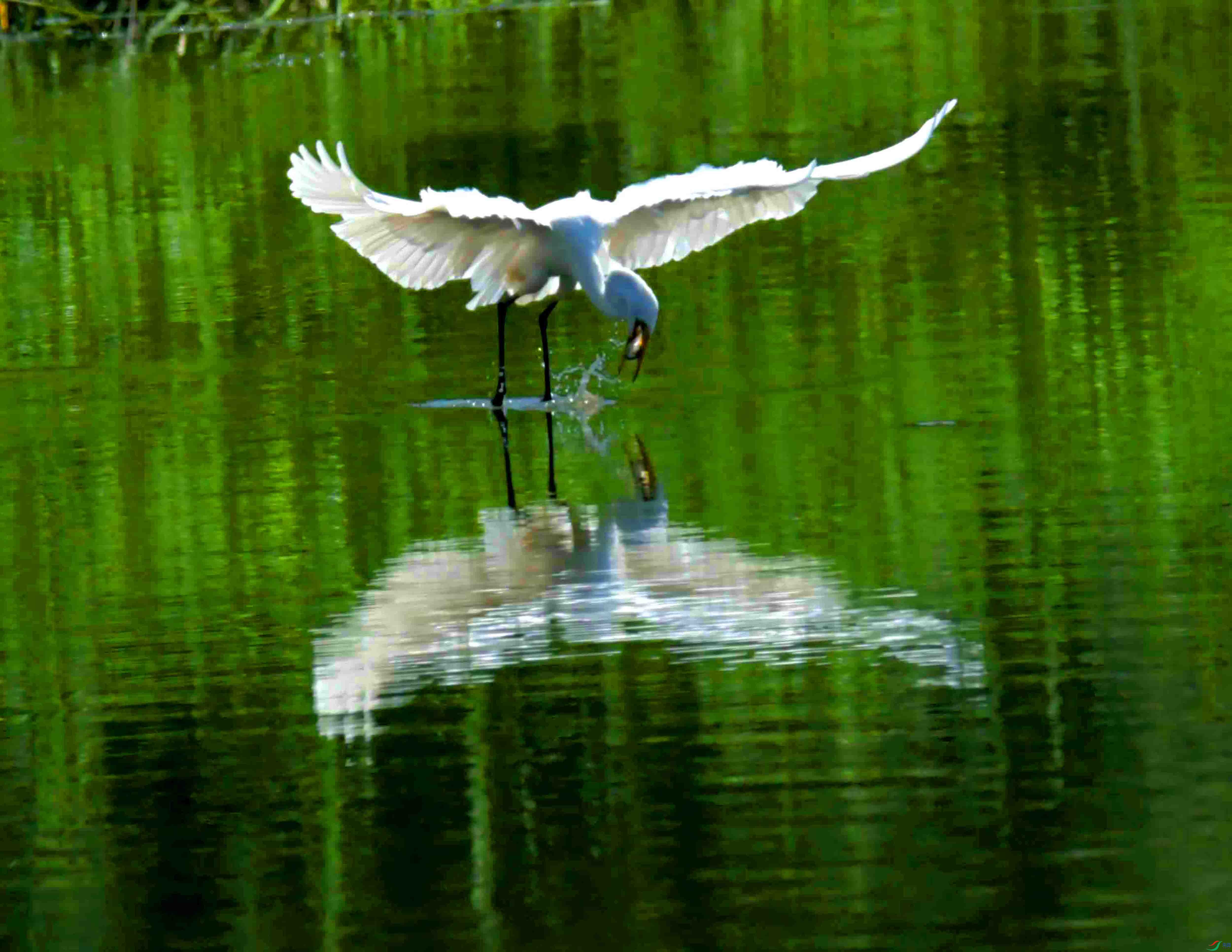 DSC_5016.JPG