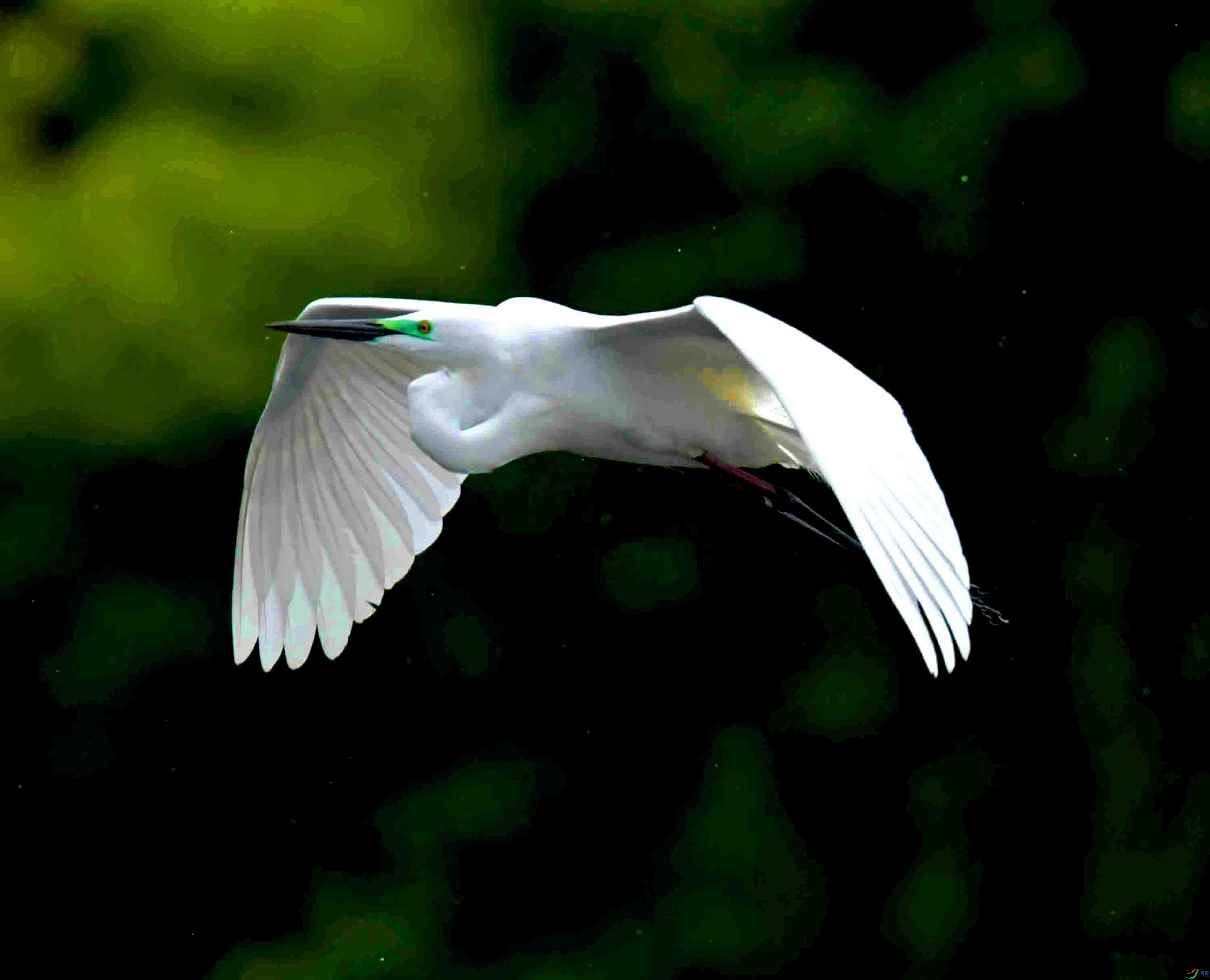 DSC_5022.JPG