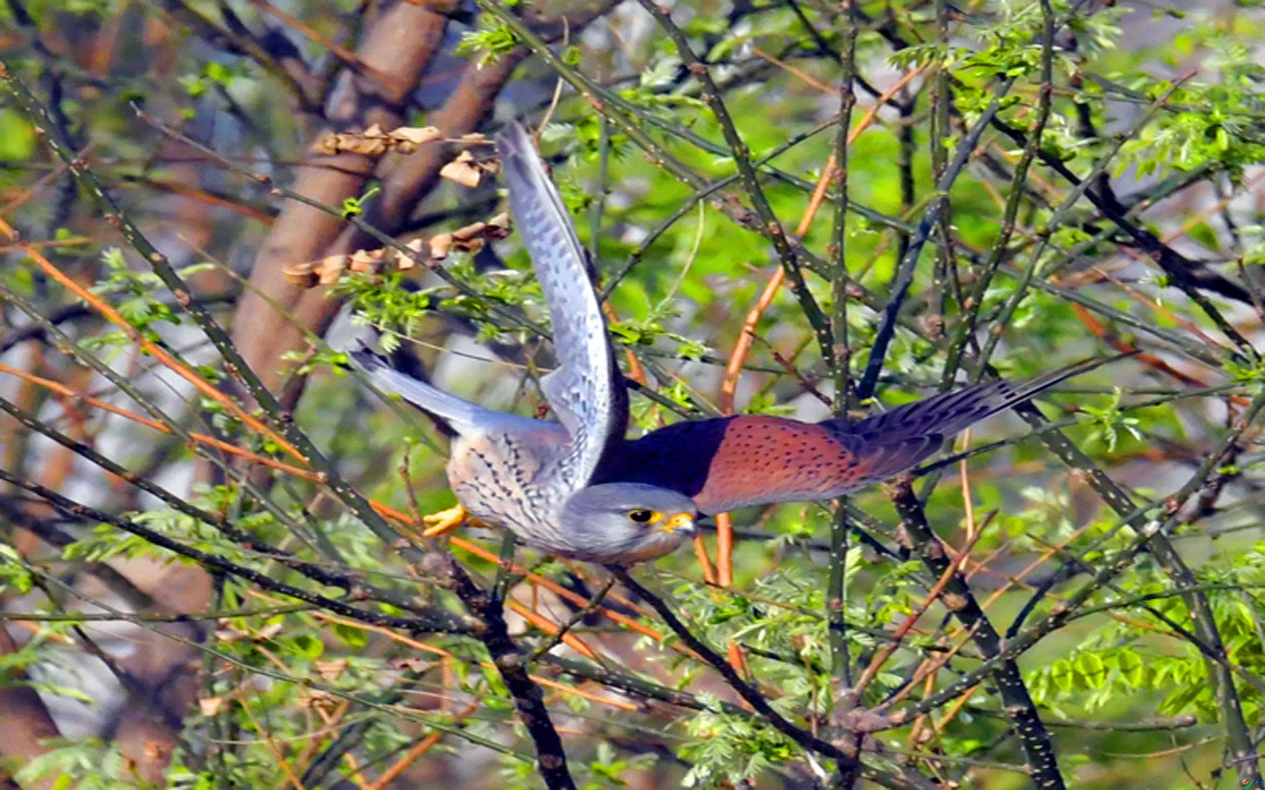DSC_6314.JPG