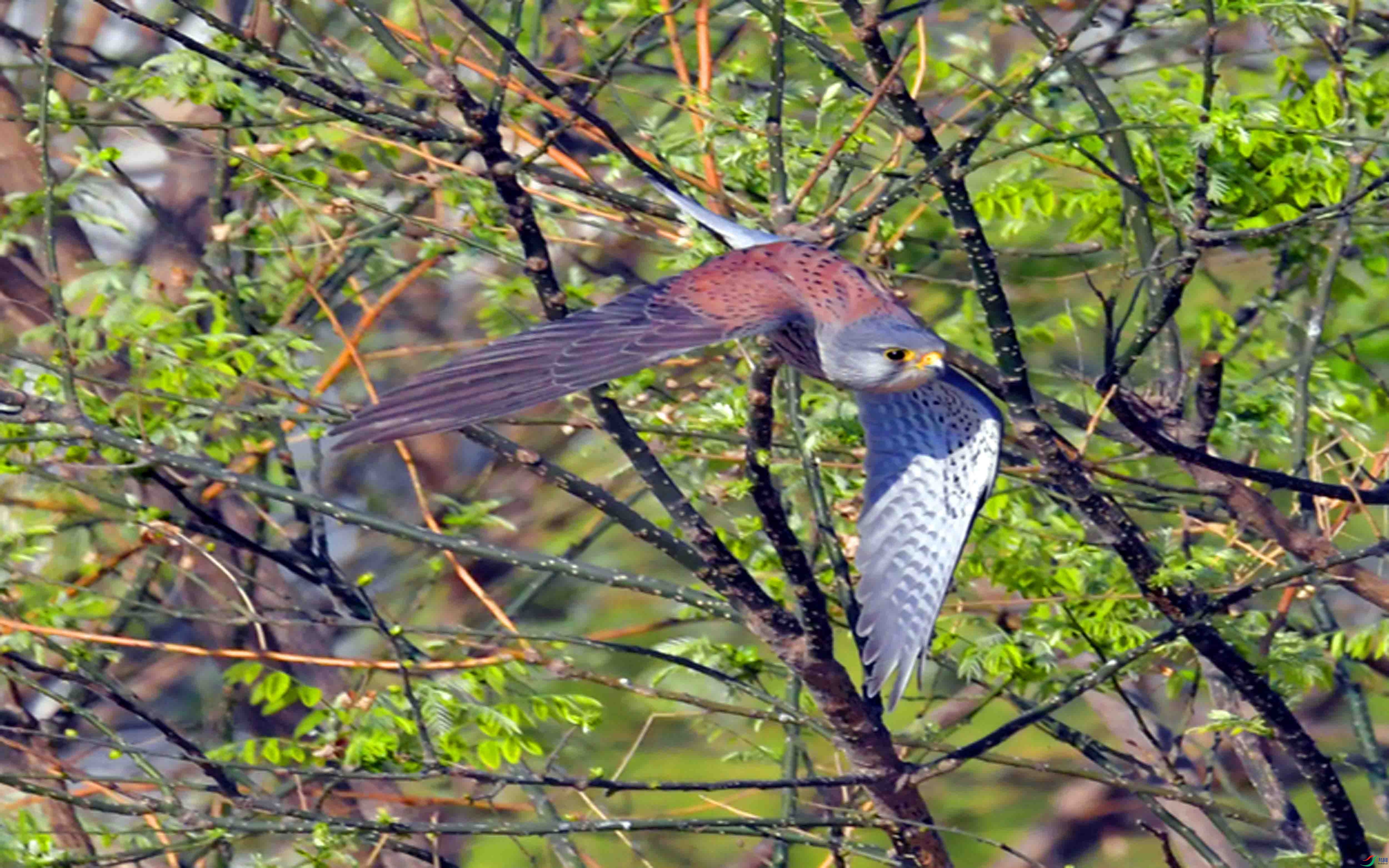 DSC_6315.JPG
