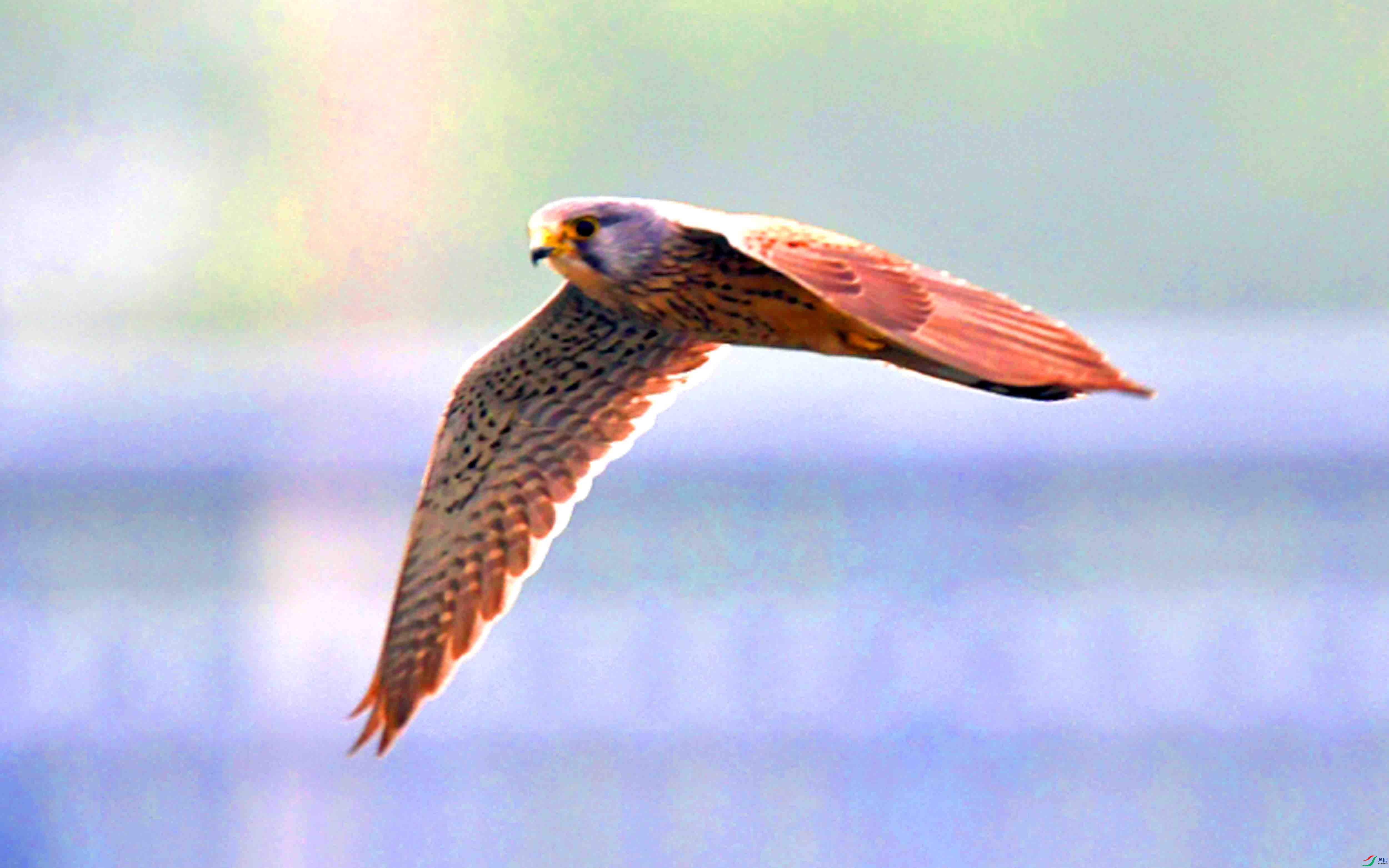 DSC_8372_��ͼ��.jpg