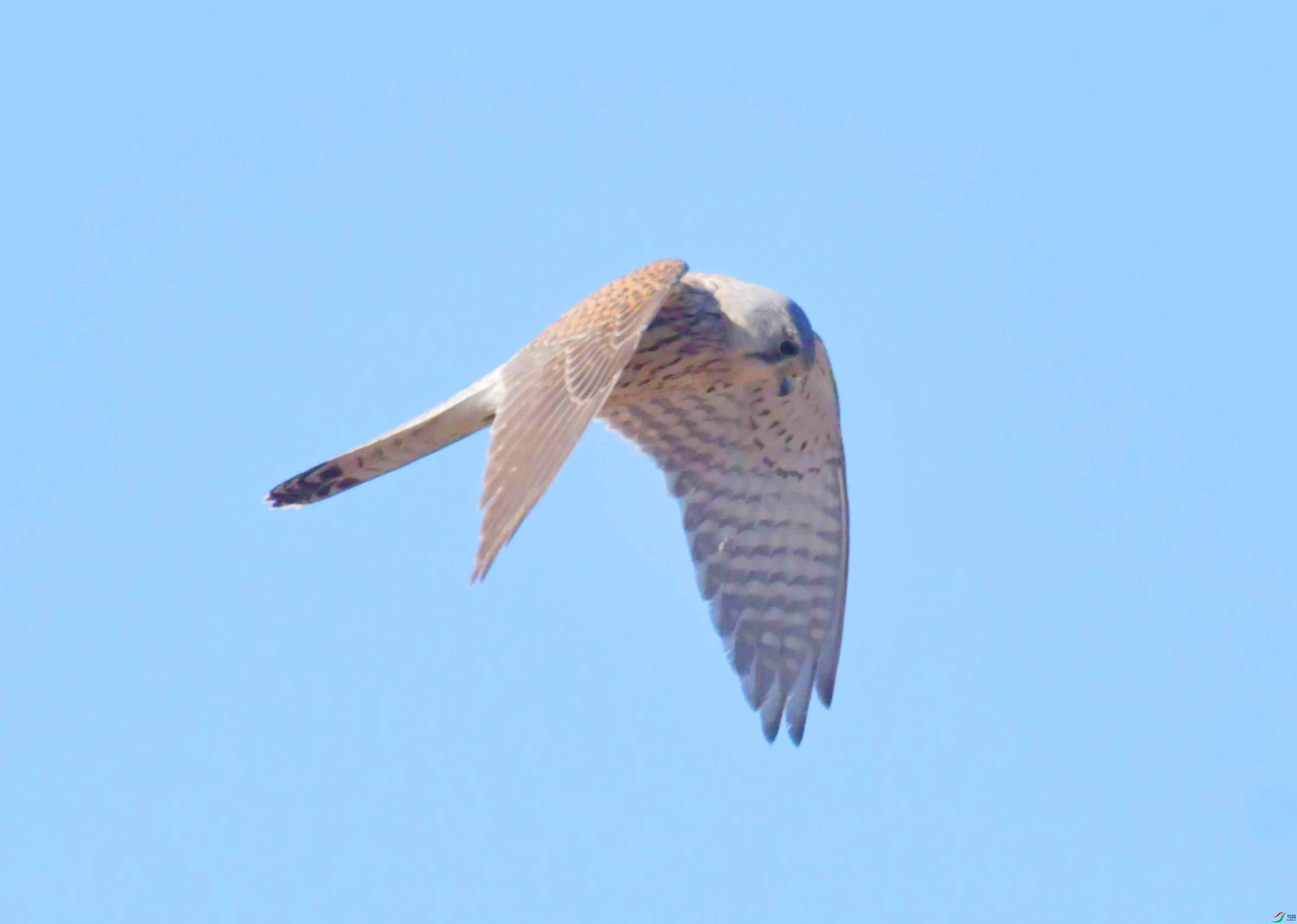 DSC_8636.JPG