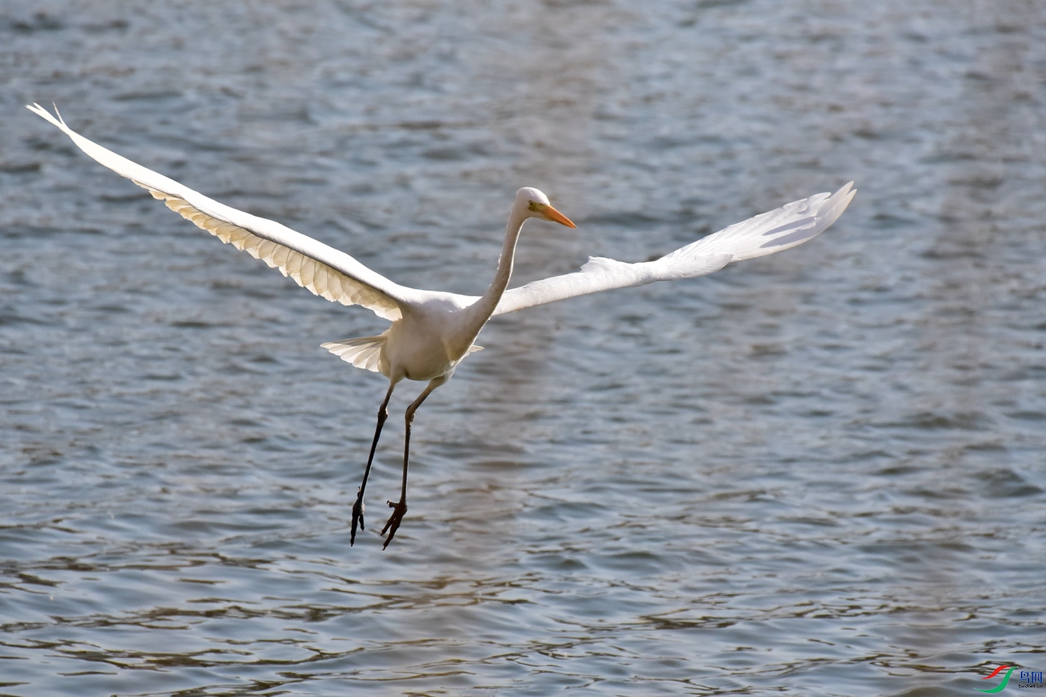 DSC_6073.JPG