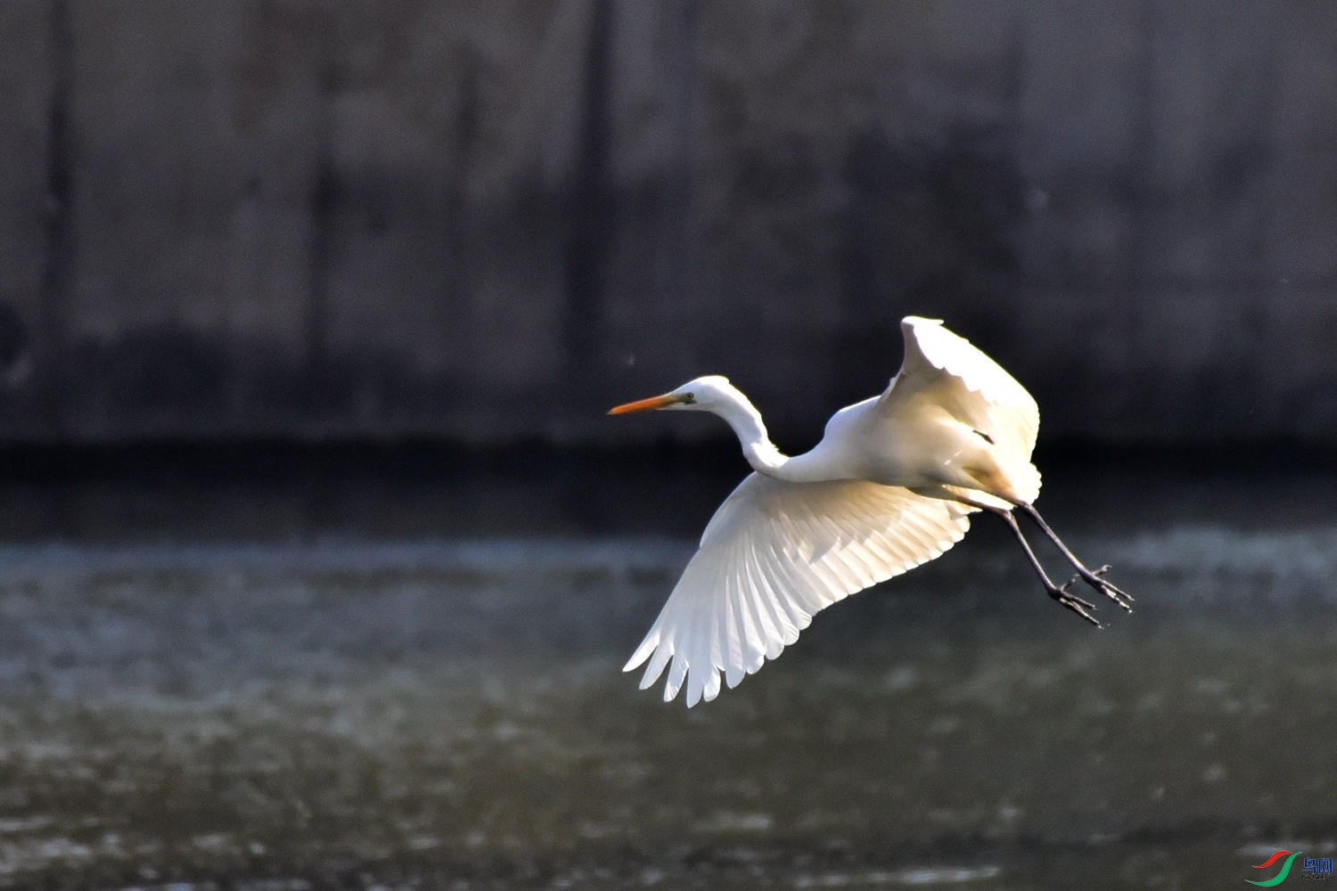 DSC_6054.JPG