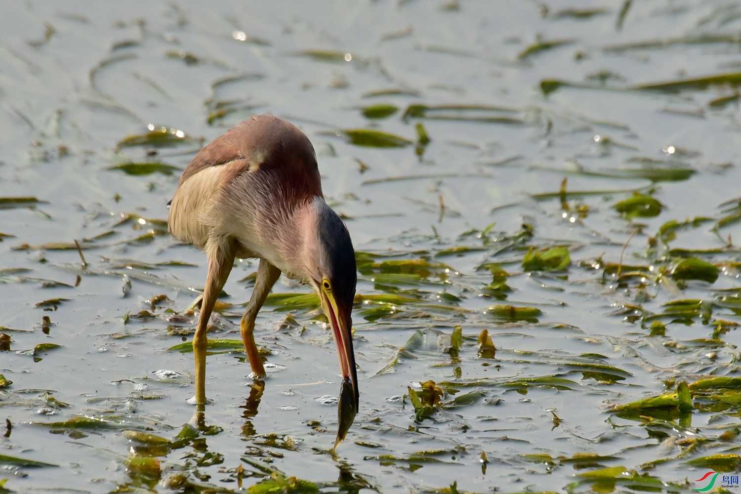 DSC_8856.JPG