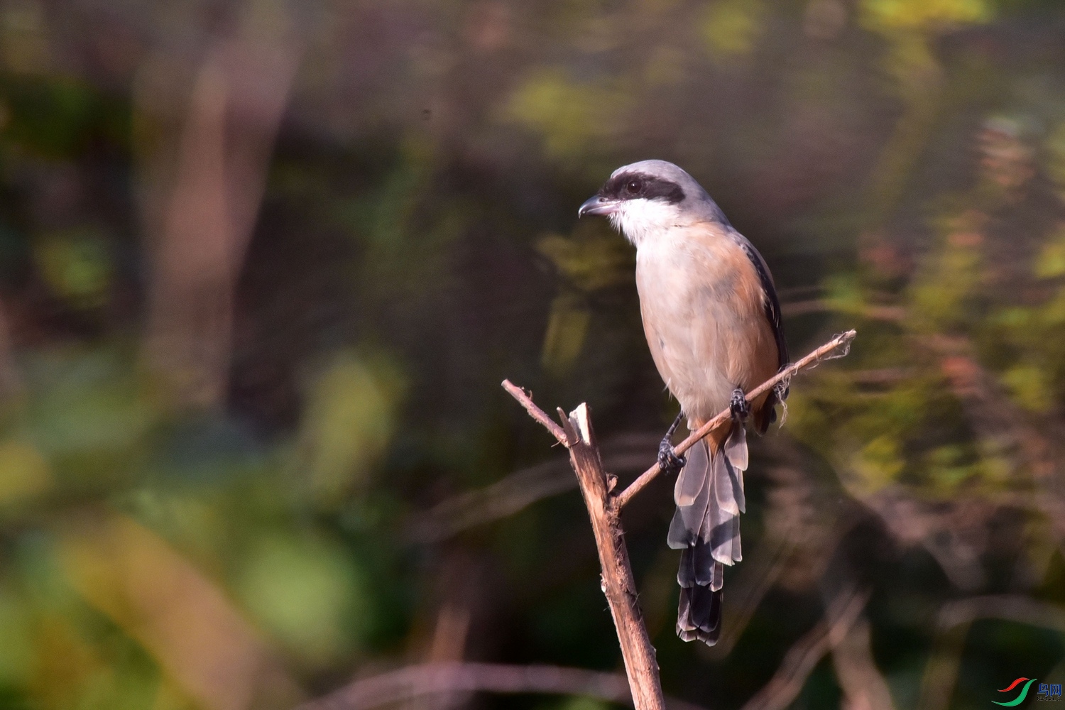 DSC_2235.JPG