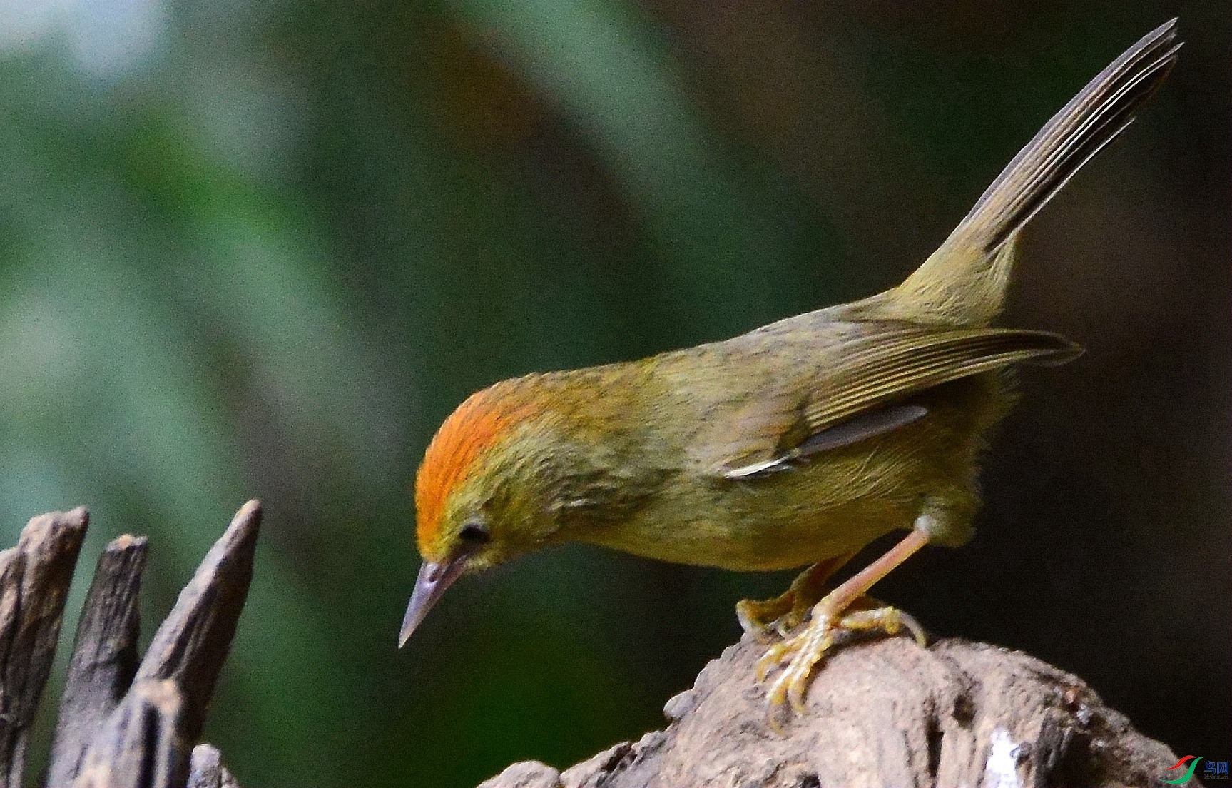 DSC_9801.JPG