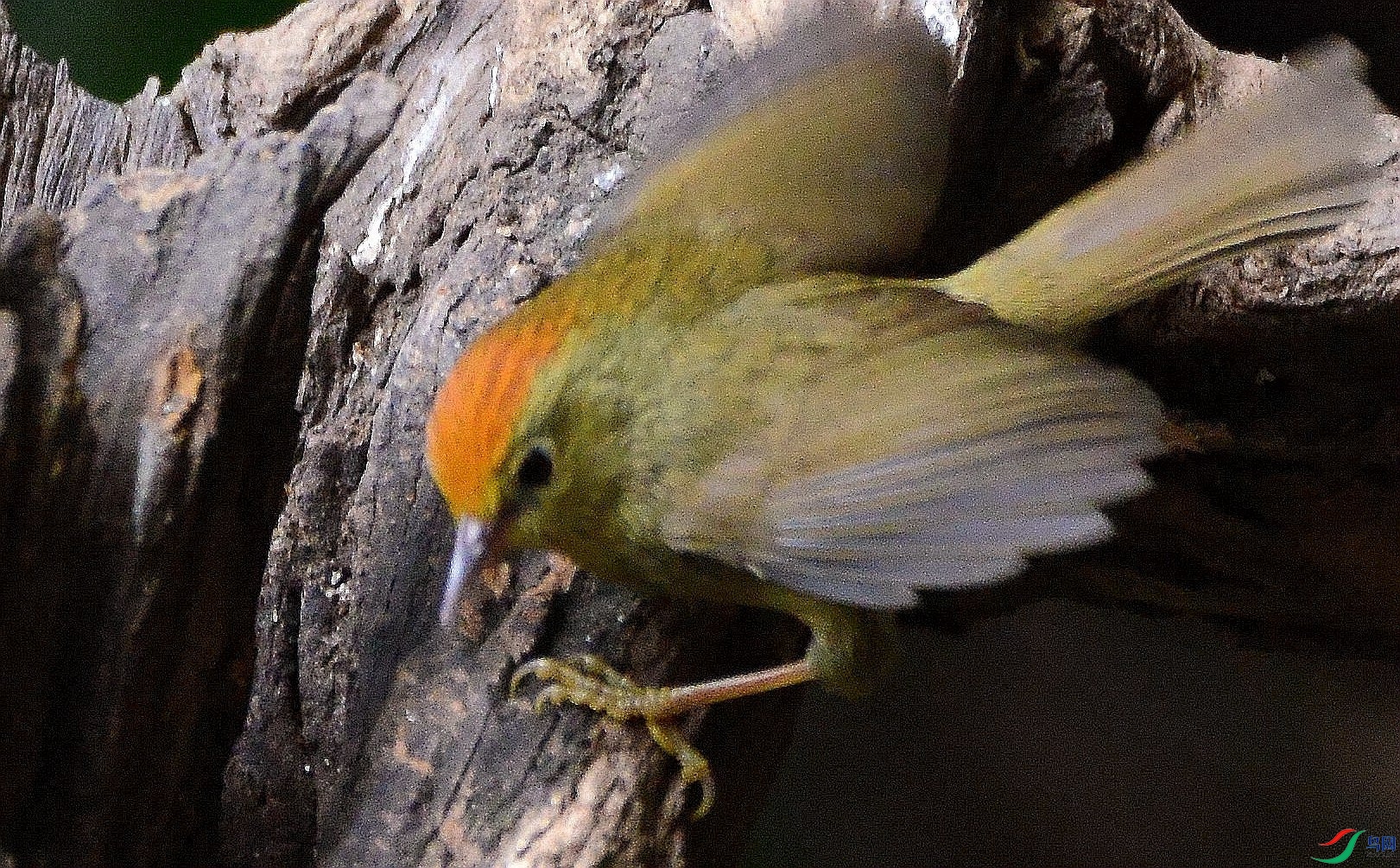 DSC_9759.JPG