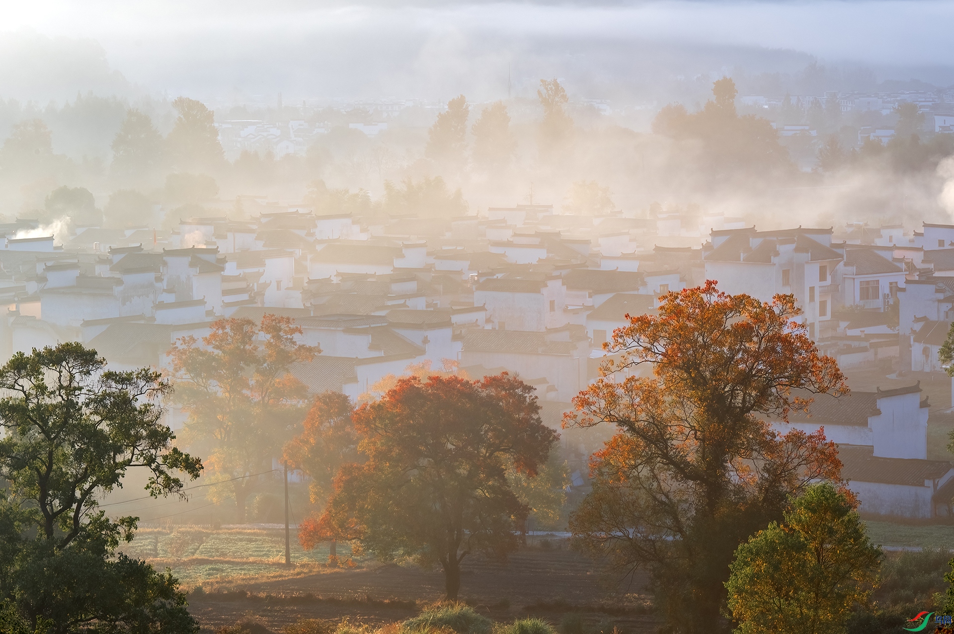 DSC_7471 - ¬����.jpg