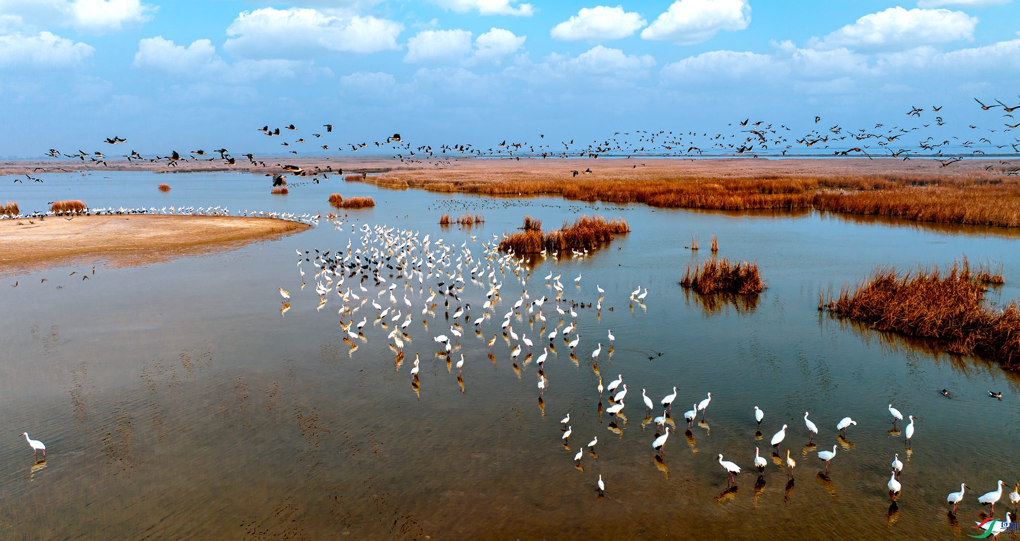 DJI_20241112151408_0081_01_����_����.jpg