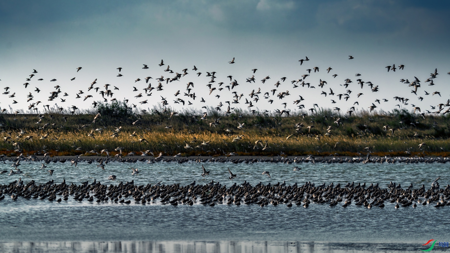 928cc806a3eaf0f0c6e771696fb359f - ����.jpg