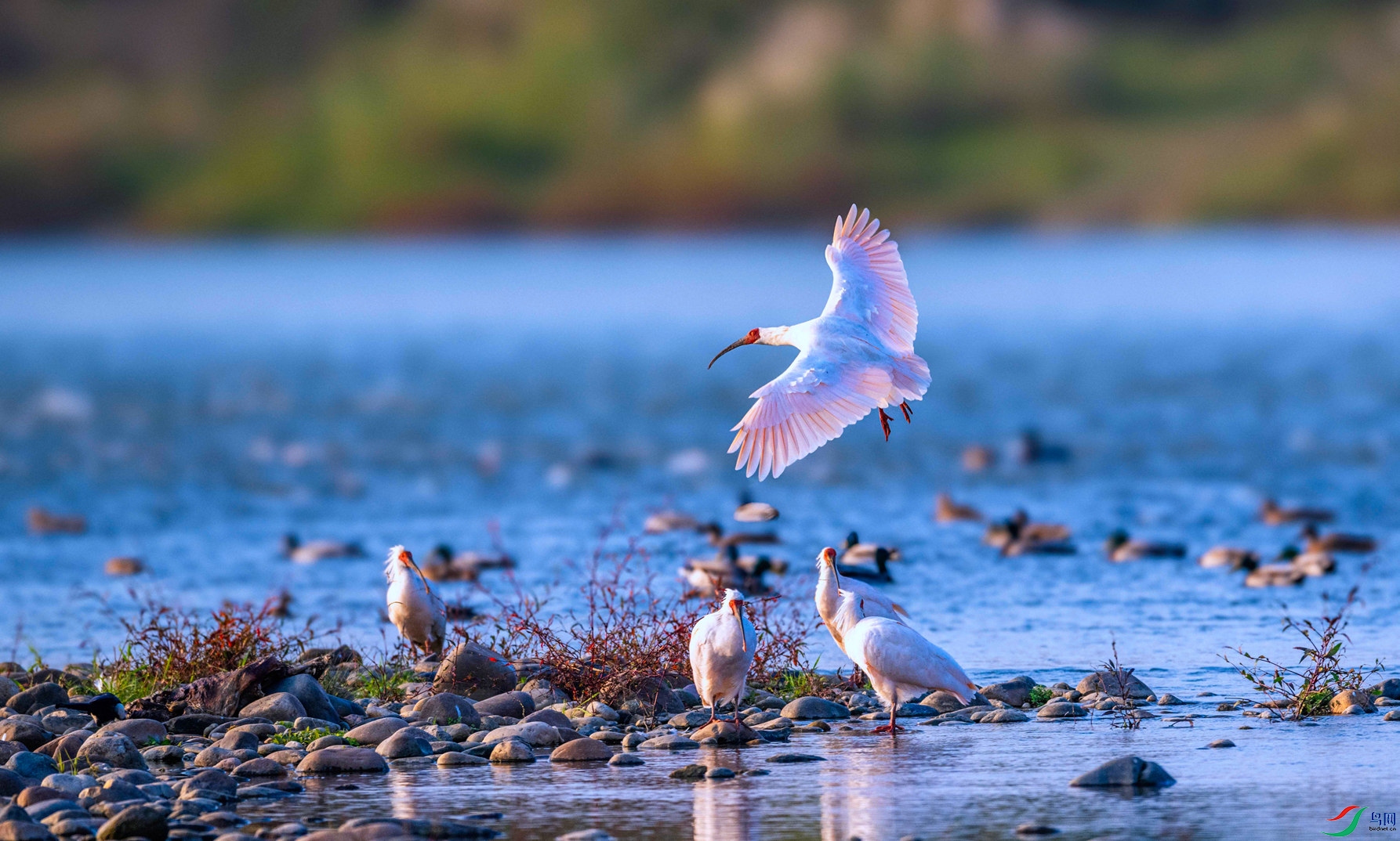 DSC_2857 ���� 2_����.jpg