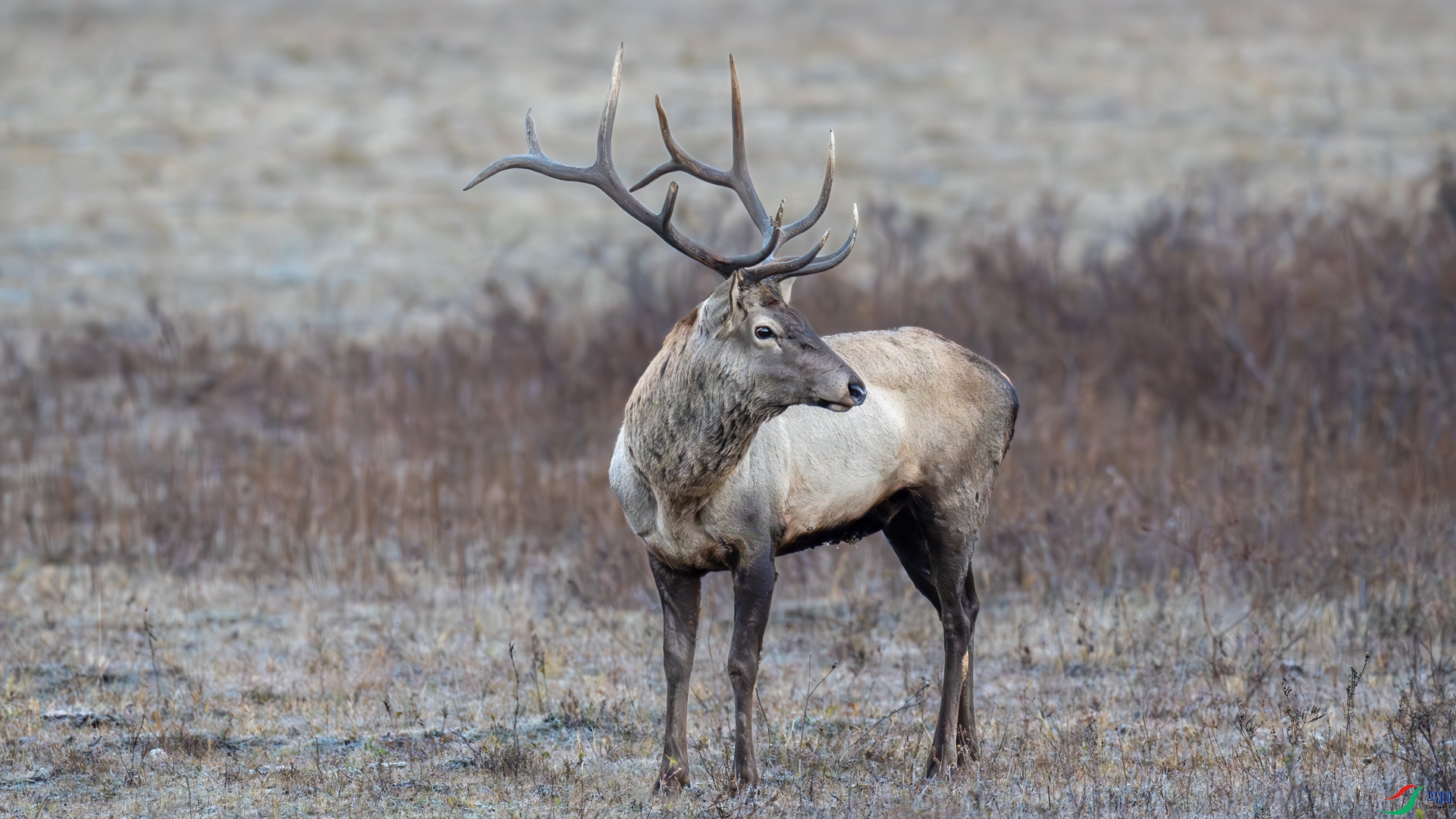 _DSC6328-��¹.jpg