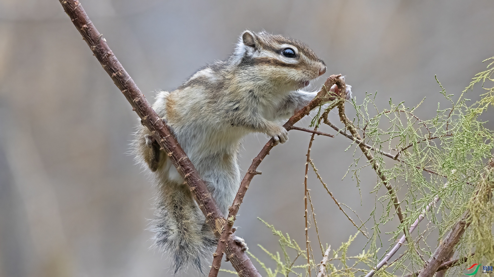 3U2A6755 ���� 2.jpg