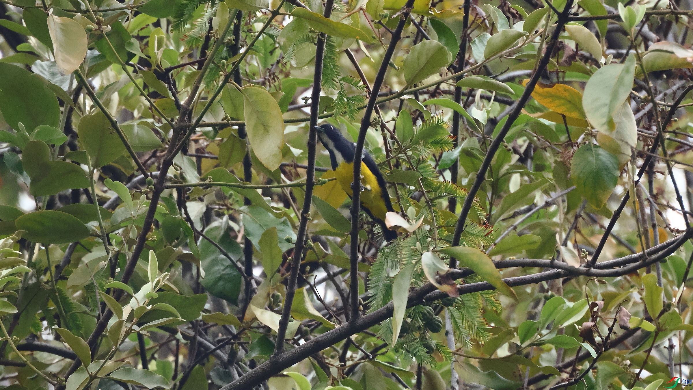 IMG_6004.JPG