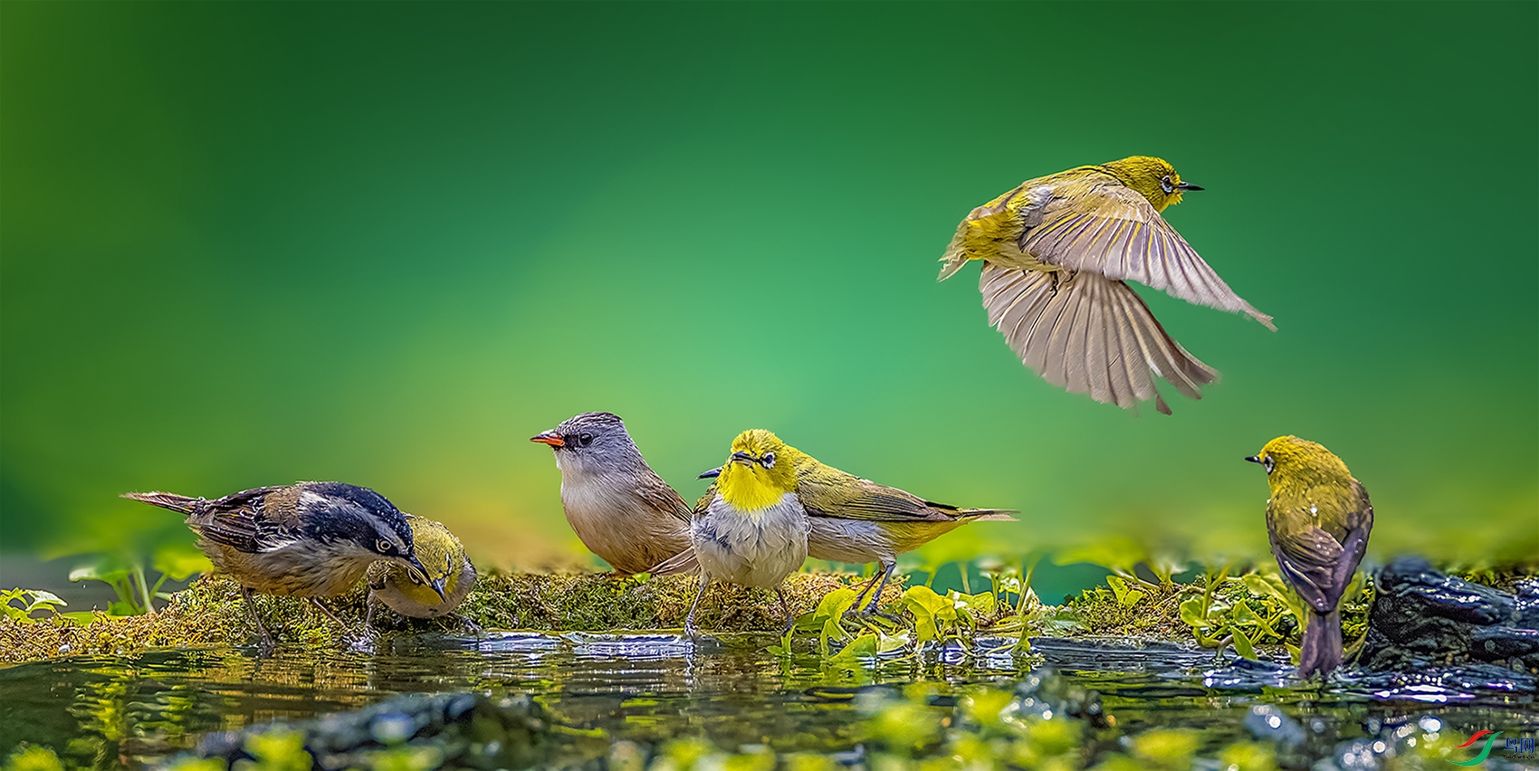 �ر�����