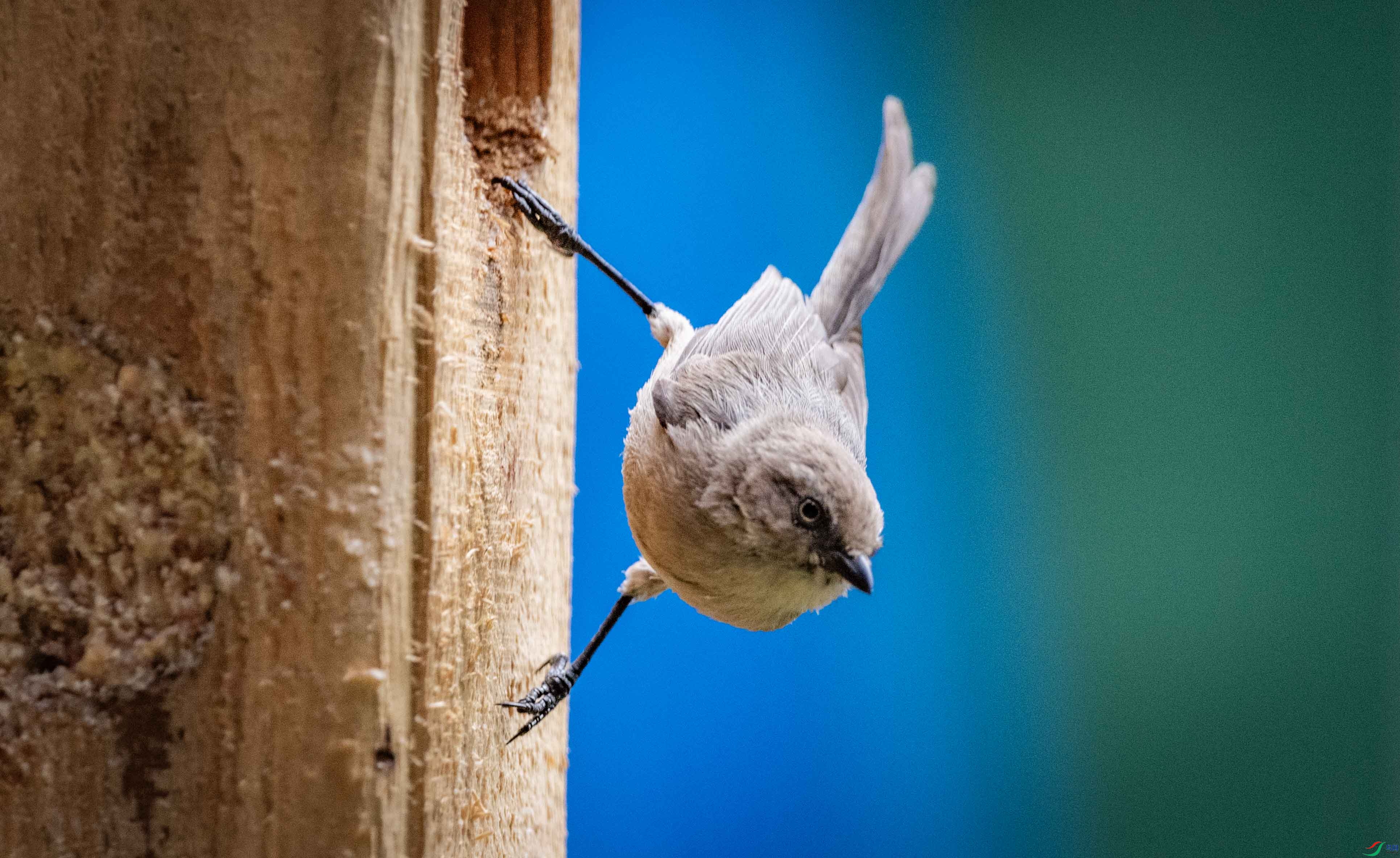 DSC_0208 ����2.jpg